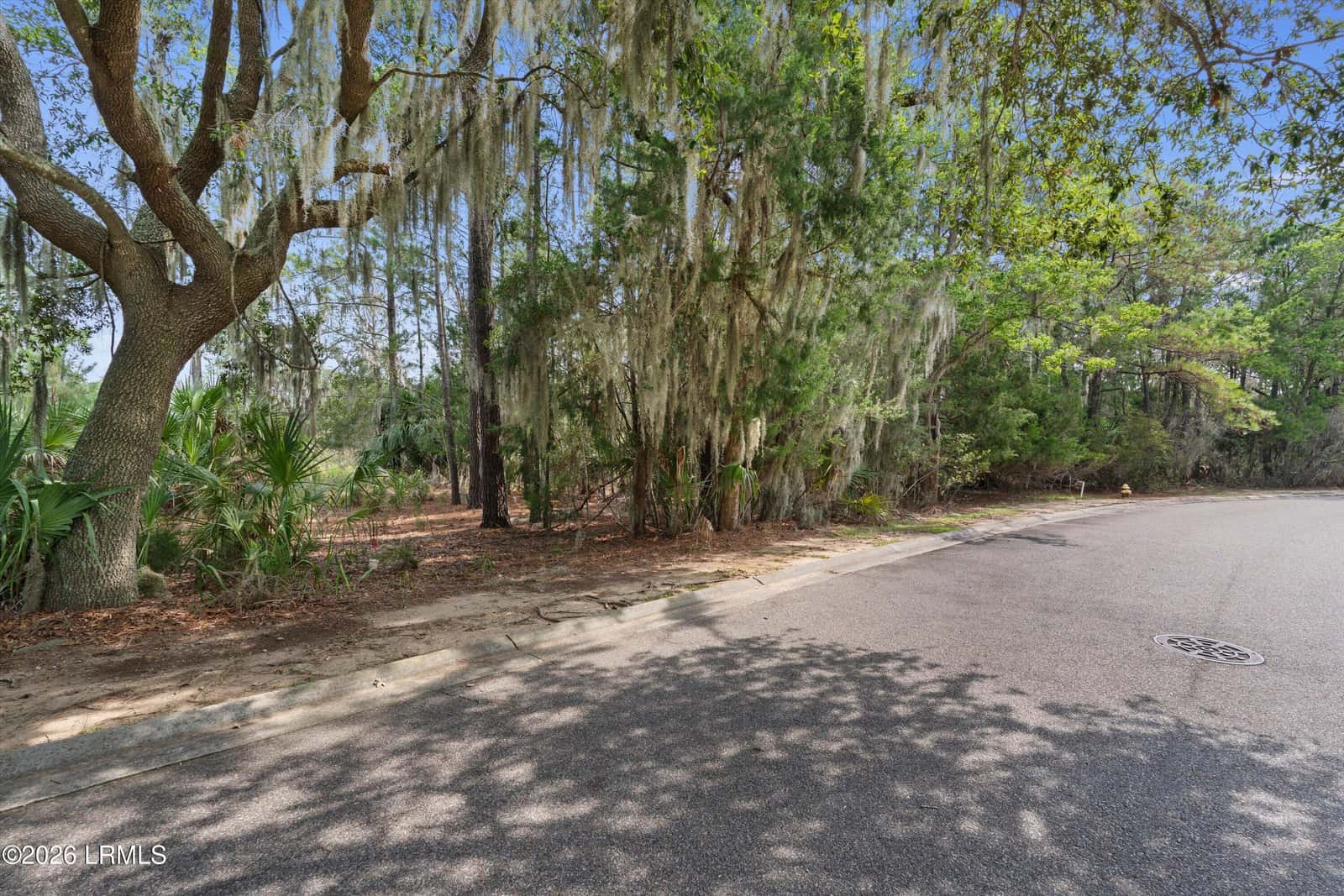 8 Governor Blake Drive, Beaufort, SC 29907 — photo 9 of 27