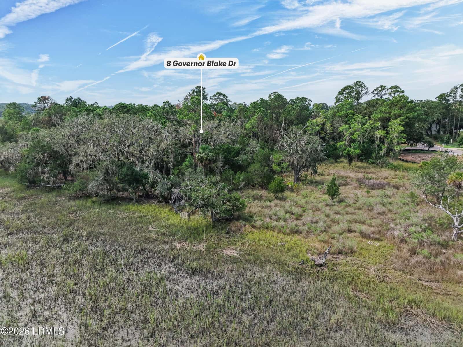 8 Governor Blake Drive, Beaufort, SC 29907 — photo 11 of 27