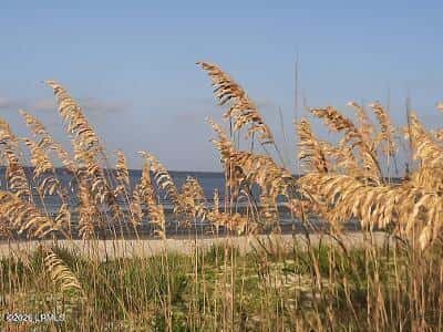 6 Windjammer Lane, St. Helena Island, SC 29920 — photo 38 of 41