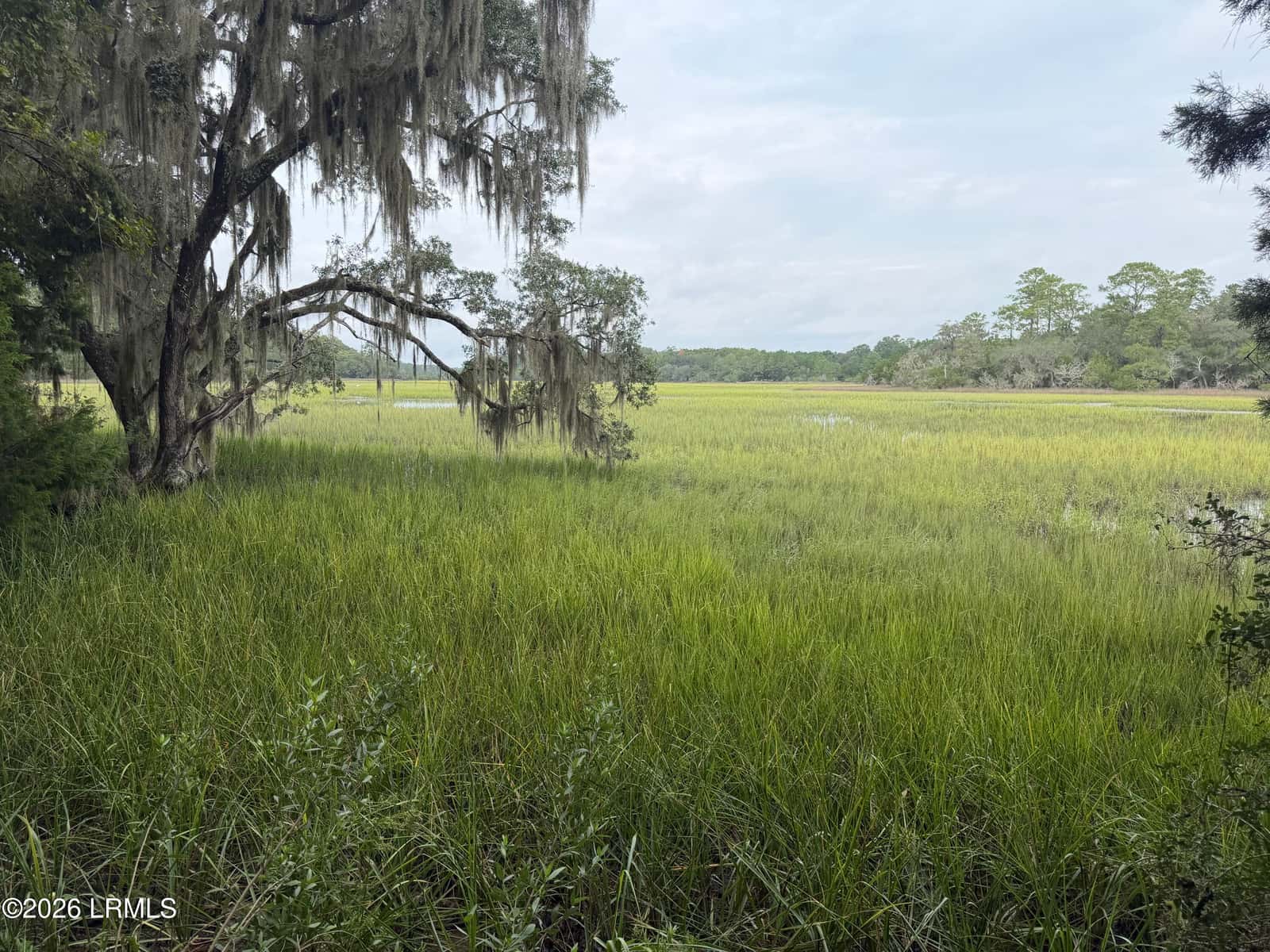 501 Paige Point Road, Seabrook, SC 29940 — photo 7 of 29