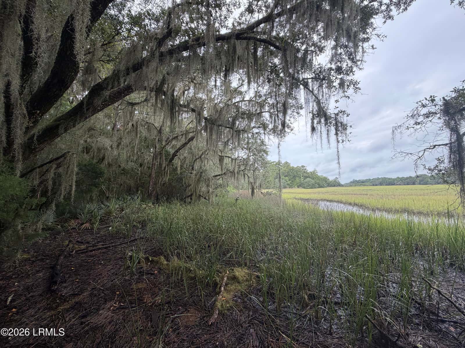 501 Paige Point Road, Seabrook, SC 29940 — photo 20 of 29