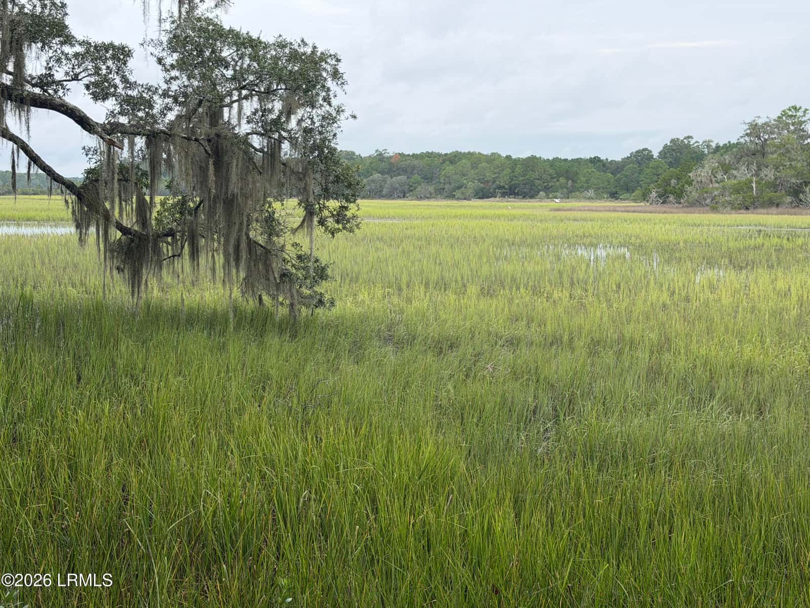 501 Paige Point Road, Seabrook, SC 29940 — photo 8 of 29