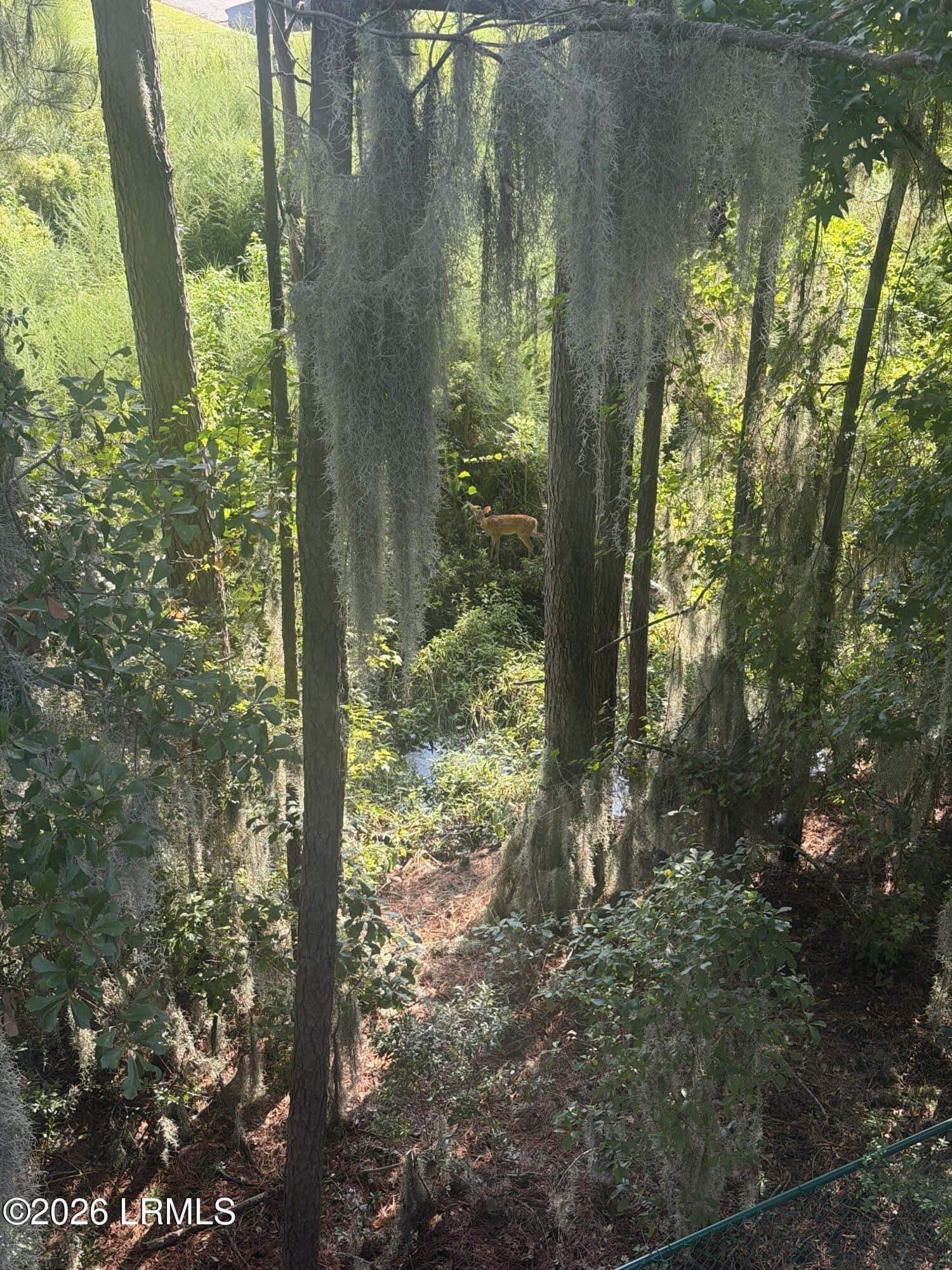 100 Kensington Boulevard 1520, Bluffton, SC 29910 — photo 25 of 37
