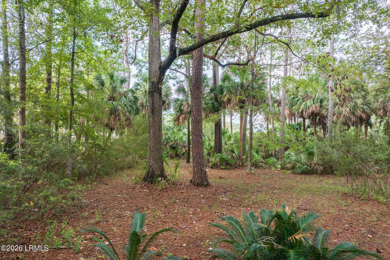 2 Bent Tree Lane, Okatie, SC 29909 — photo 13 of 33
