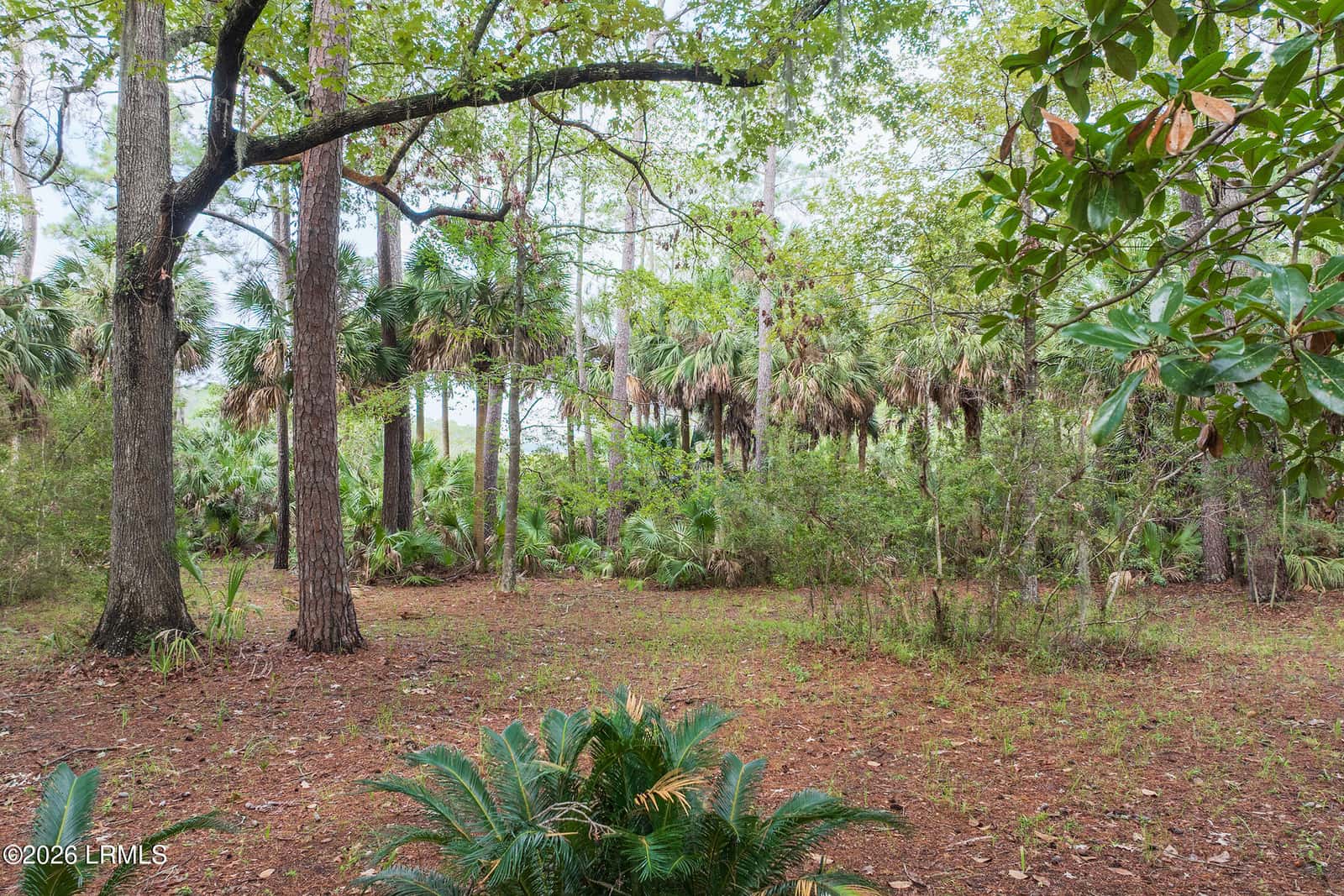 2 Bent Tree Lane, Okatie, SC 29909 — photo 14 of 33