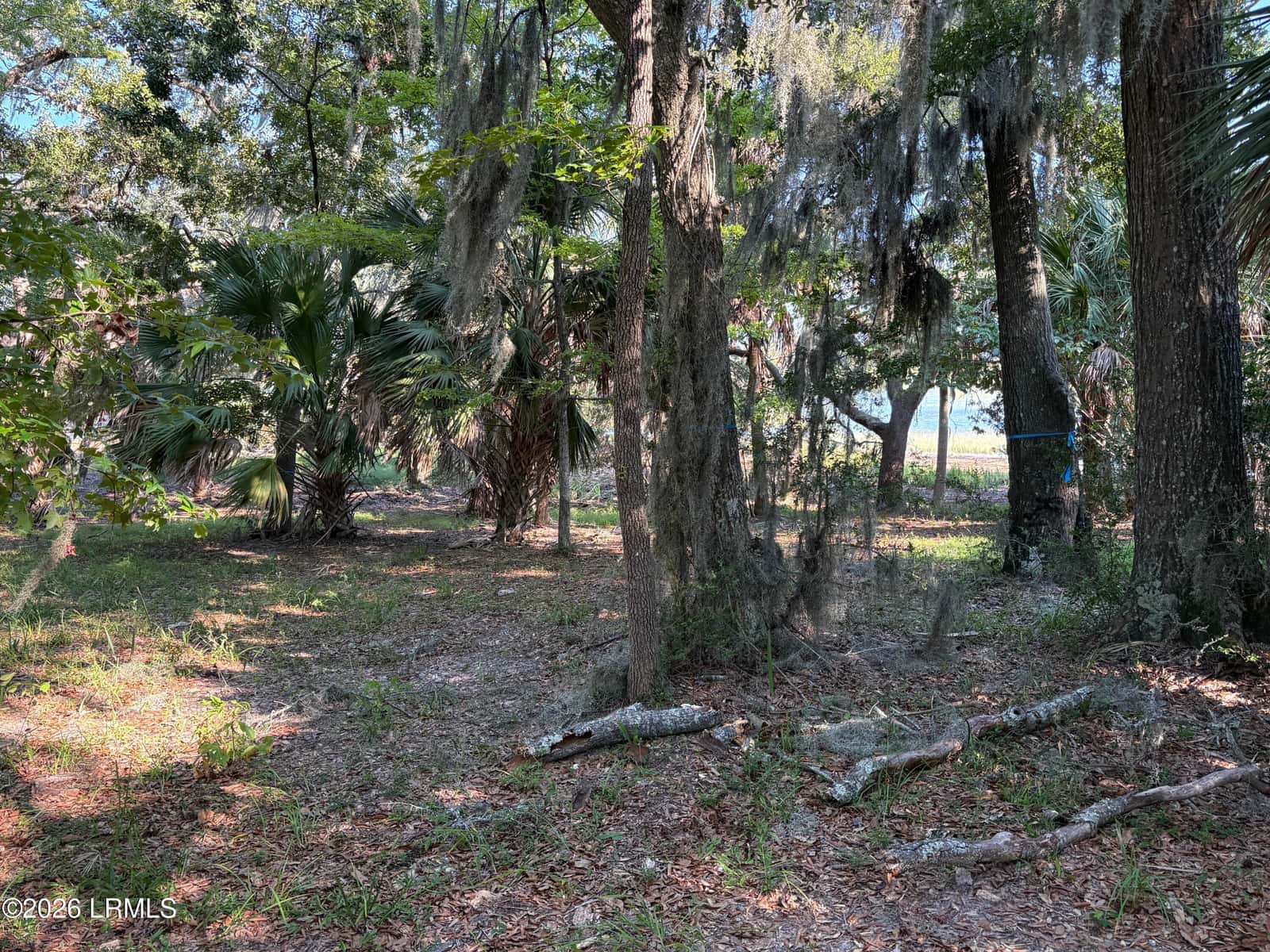 501 Plough Point, Beaufort, SC 29902 — photo 11 of 21