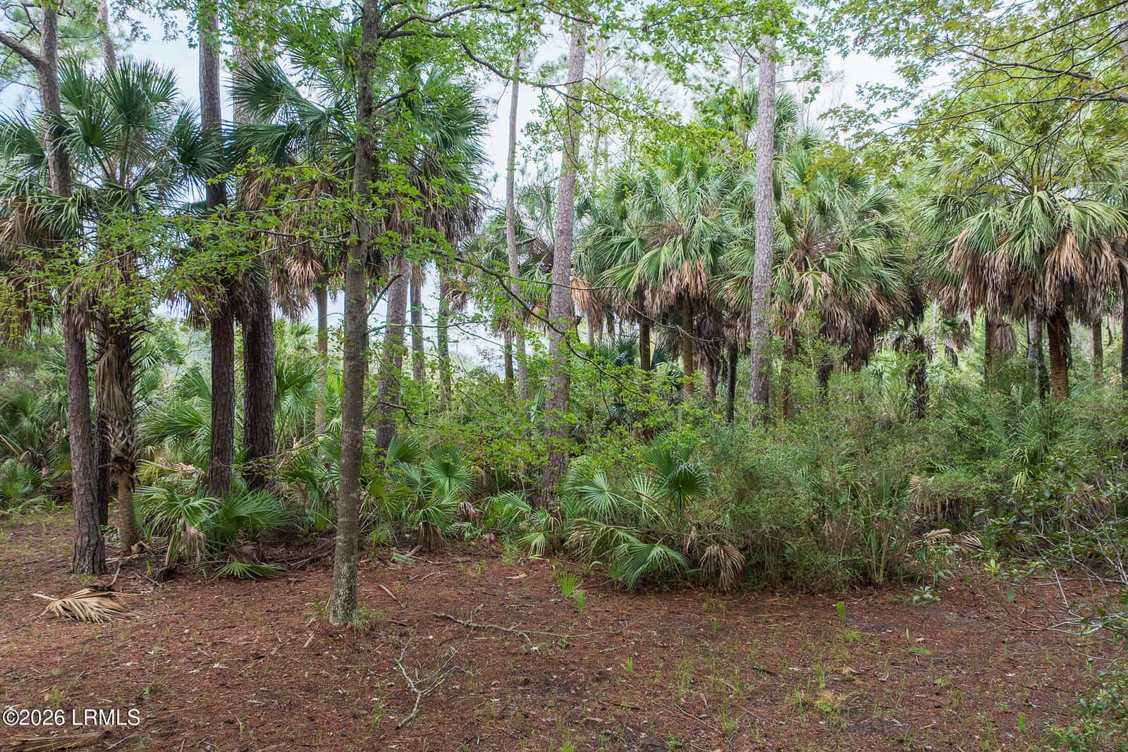 2 Bent Tree Lane, Okatie, SC 29909 — photo 33 of 33