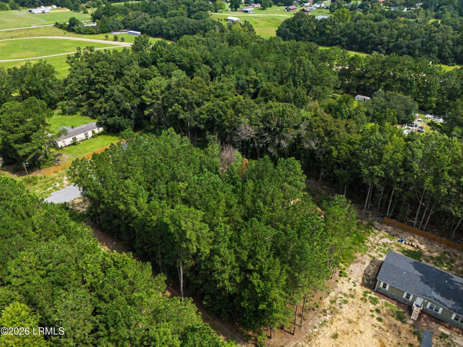 0 Firethorn Court, Eutawville, SC 29048 — photo 4 of 14