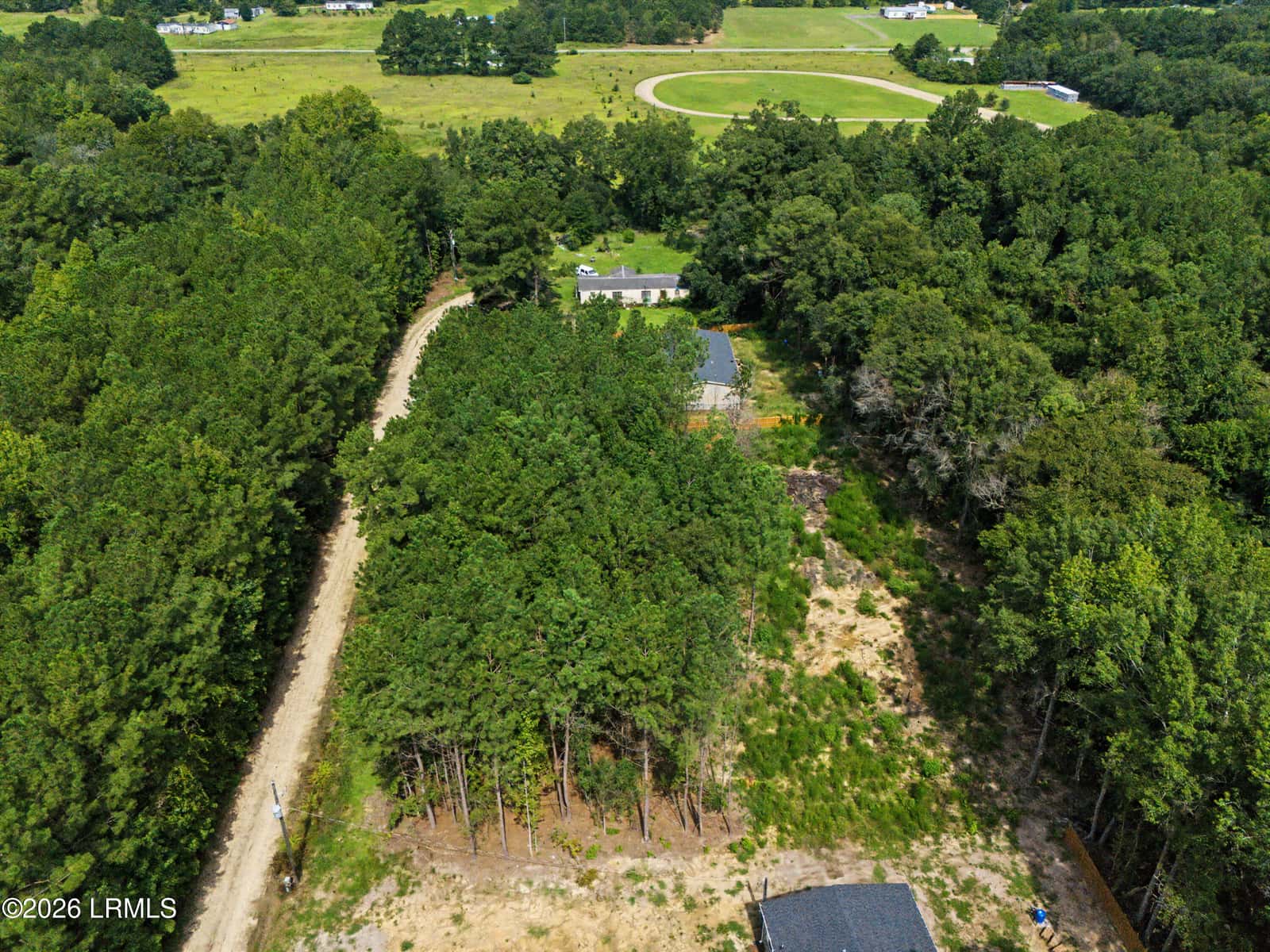 0 Firethorn Court, Eutawville, SC 29048 — photo 5 of 14