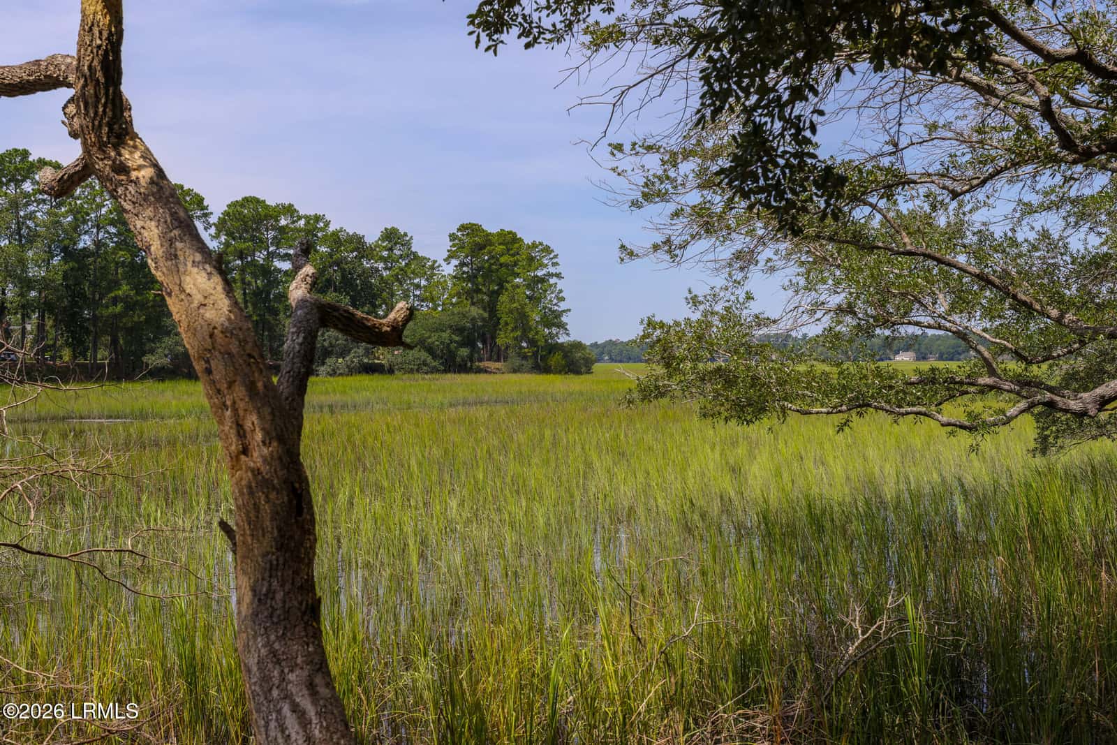 135 Good Hope Road, Bluffton, SC 29909 — photo 73 of 93