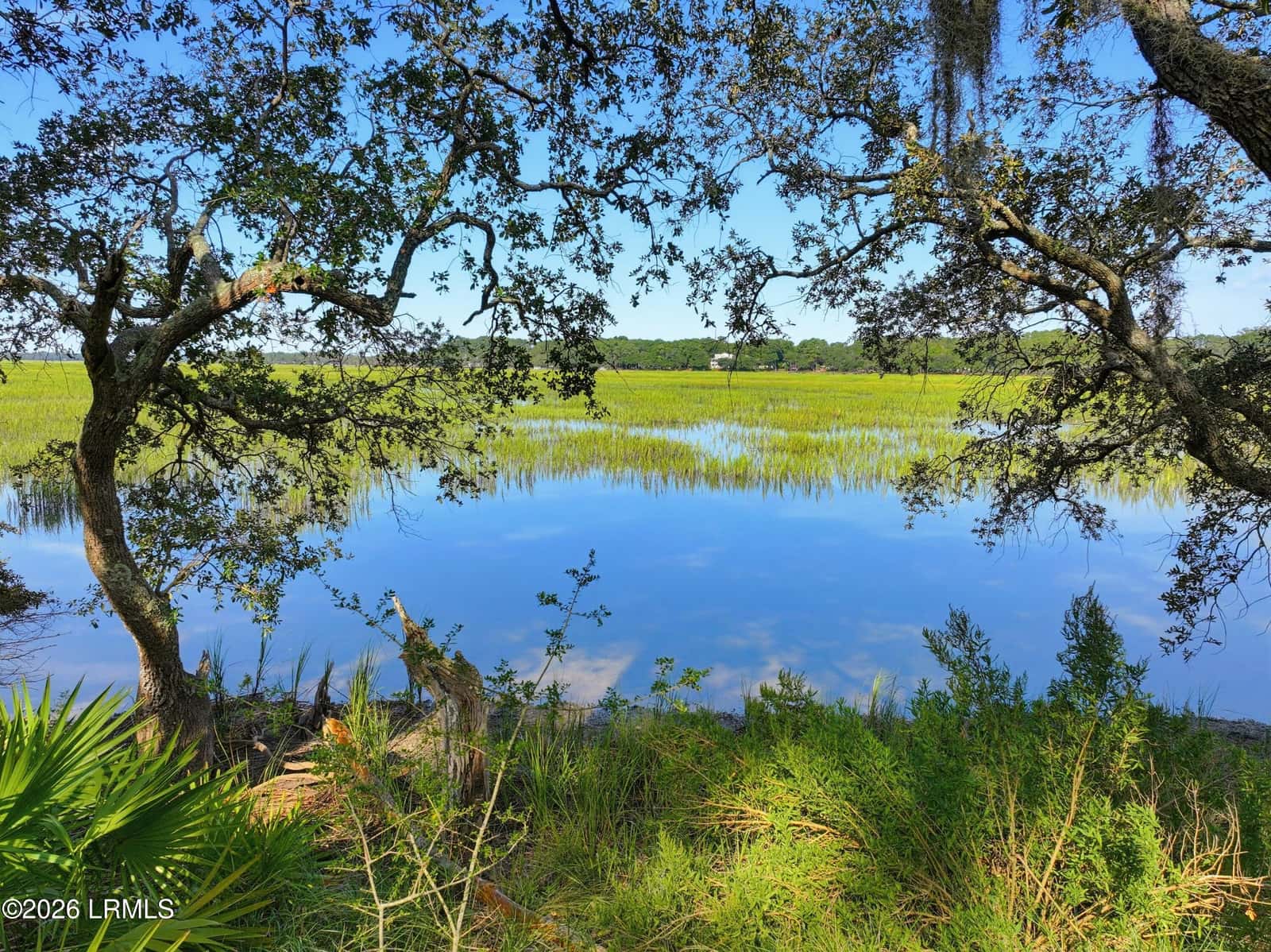 38 Cameroon Drive, Beaufort, SC 29907 — photo 12 of 20