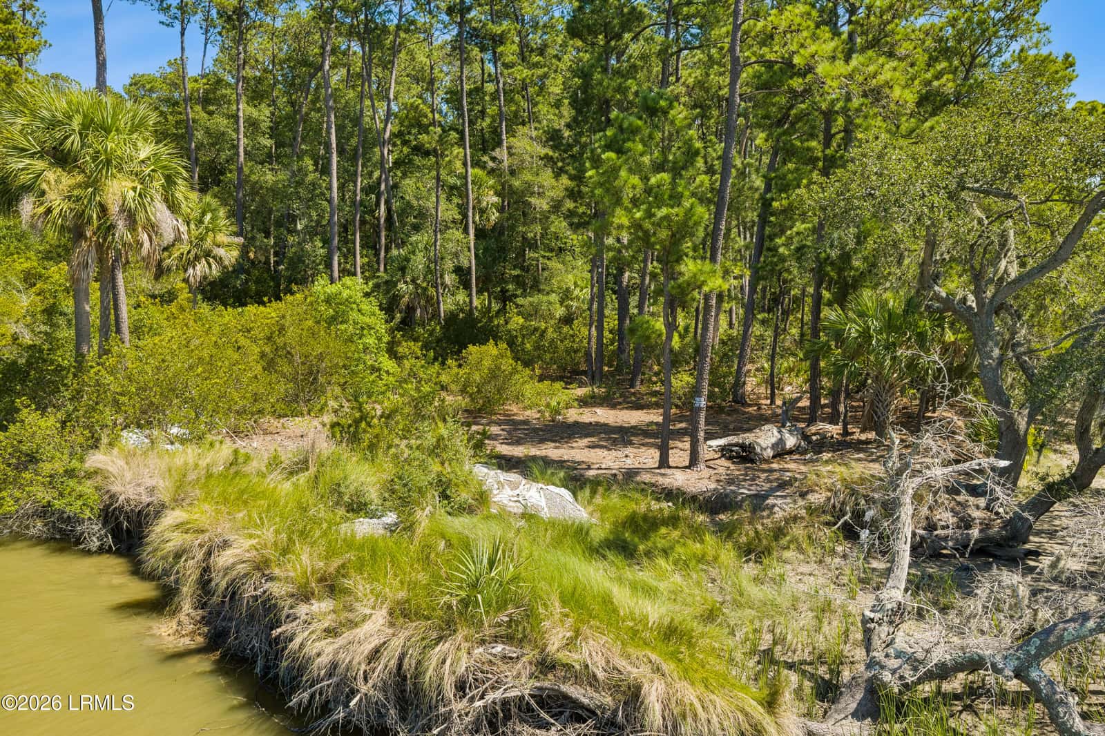 Tbd Blackwall Island, St. Helena Island, SC 29920 — photo 23 of 56