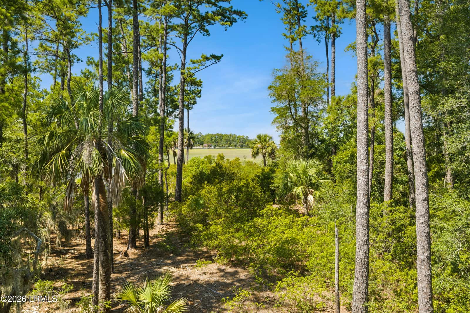 Tbd Blackwall Island, St. Helena Island, SC 29920 — photo 26 of 56
