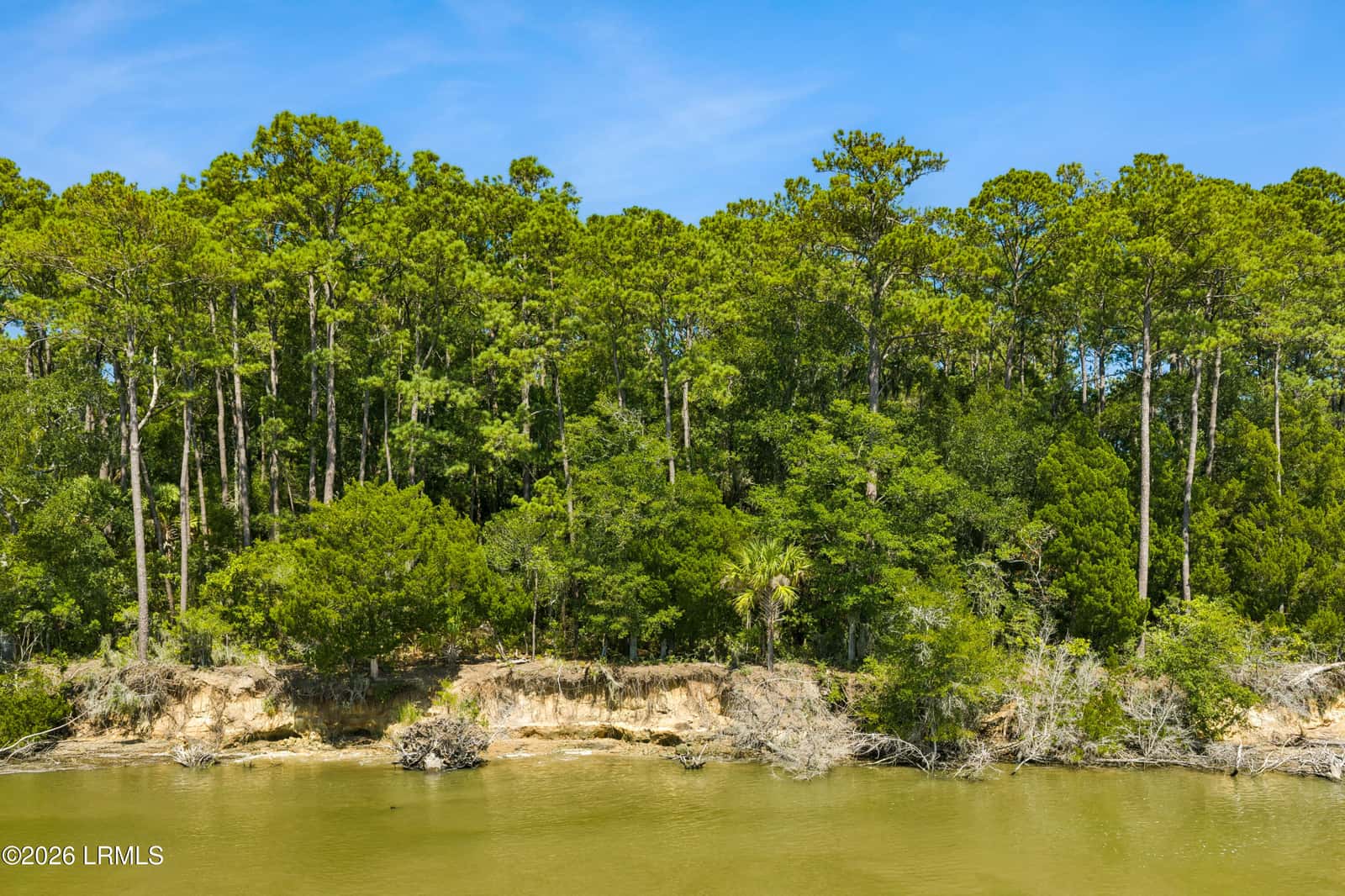 Tbd Blackwall Island, St. Helena Island, SC 29920 — photo 4 of 56