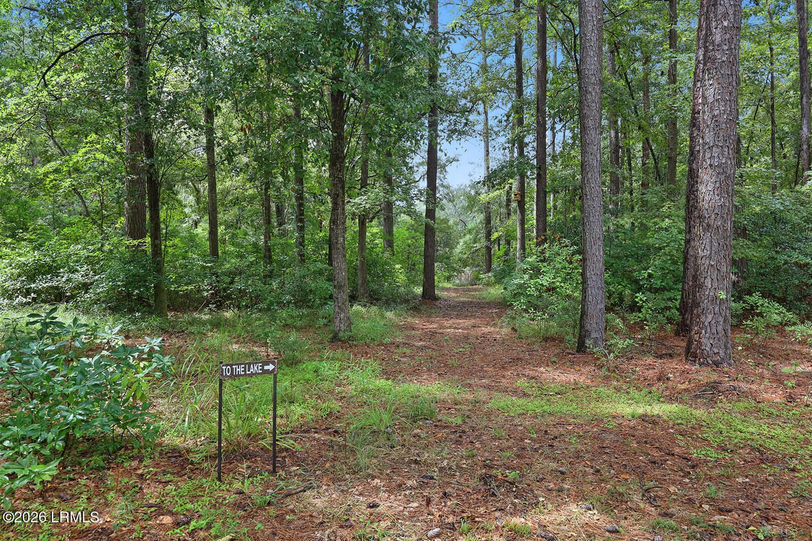 17 Blake Lane, Seabrook, SC 29940 — photo 57 of 99