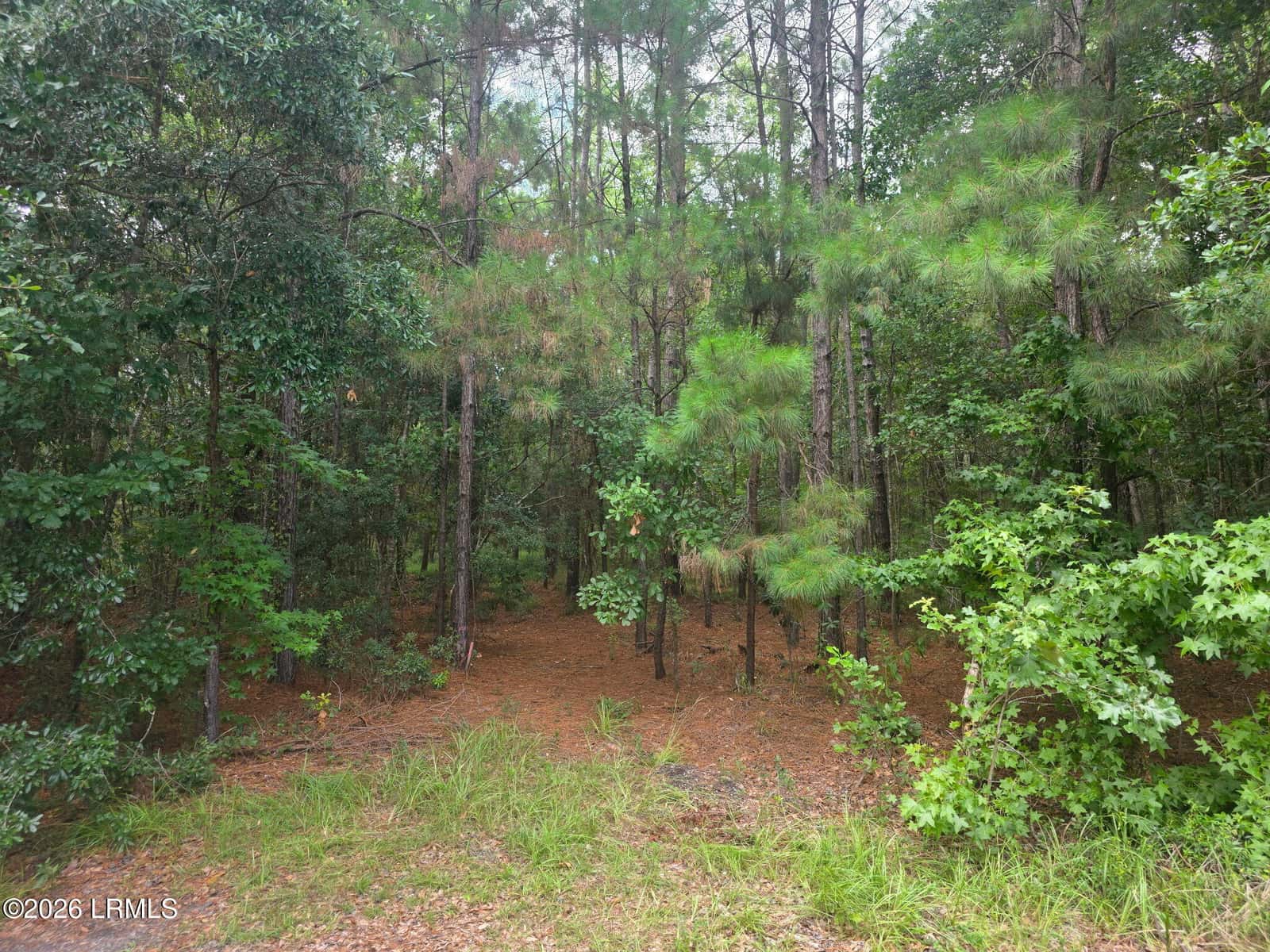 1611 S Okatie Highway, Hardeeville, SC 29927 — photo 2 of 7