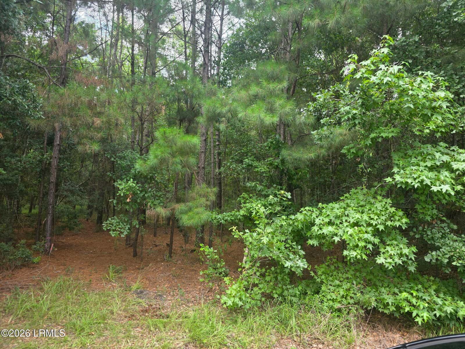 1611 S Okatie Highway, Hardeeville, SC 29927 — photo 3 of 7