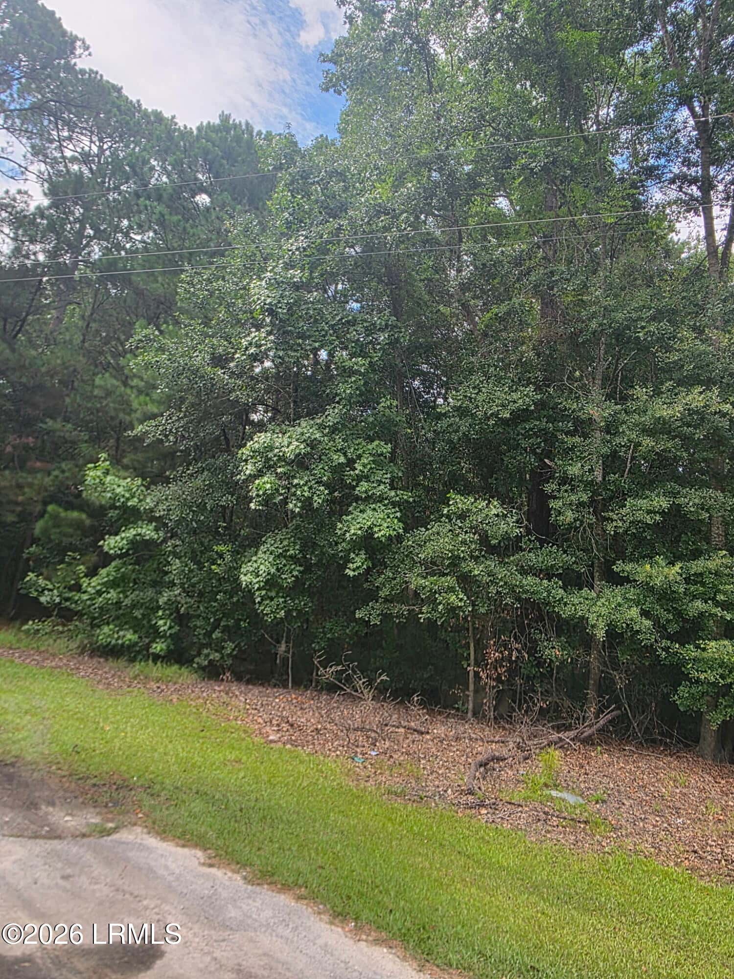 1611 S Okatie Highway, Hardeeville, SC 29927 — photo 4 of 7
