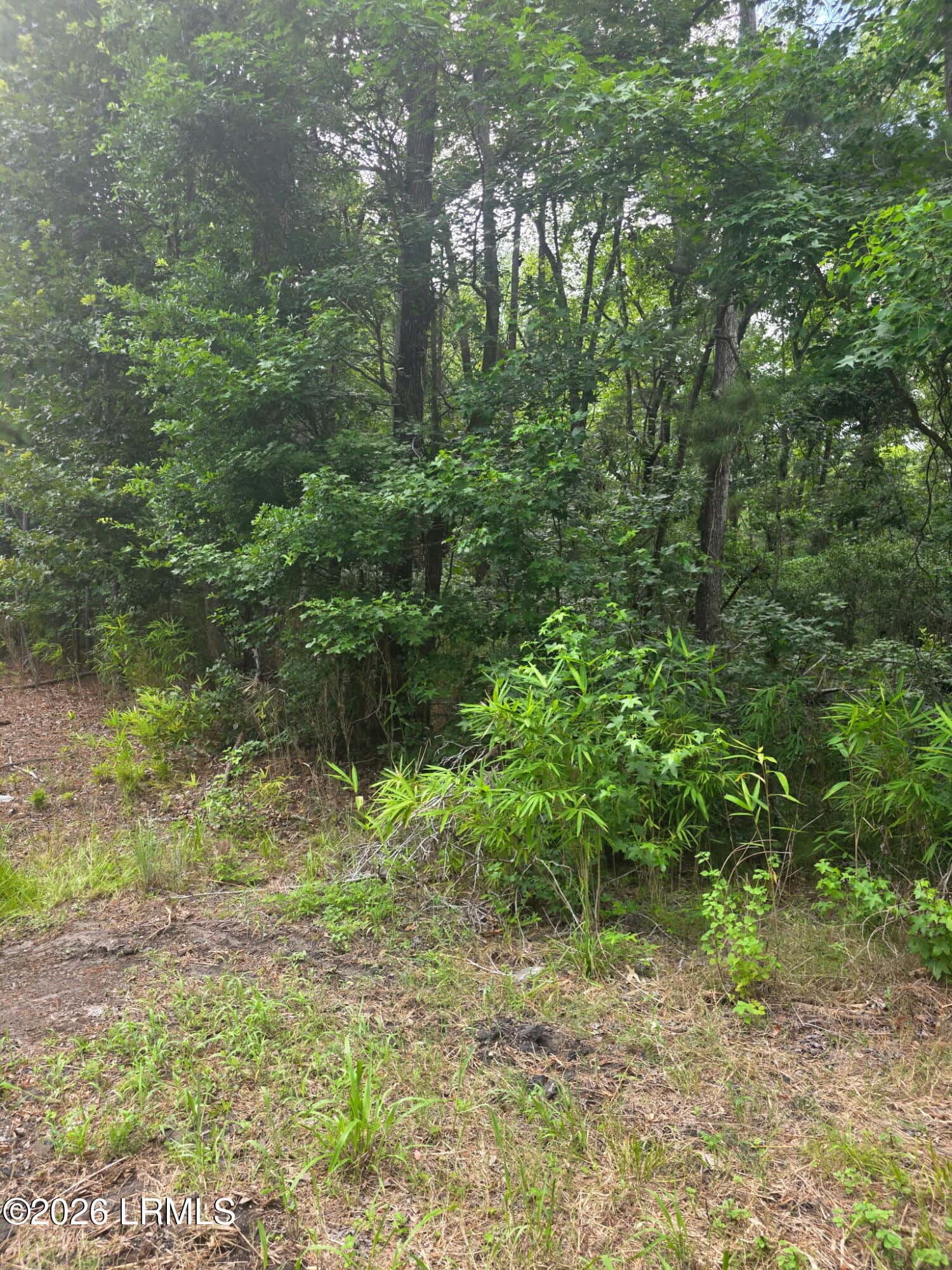 1611 S Okatie Highway, Hardeeville, SC 29927 — photo 7 of 7