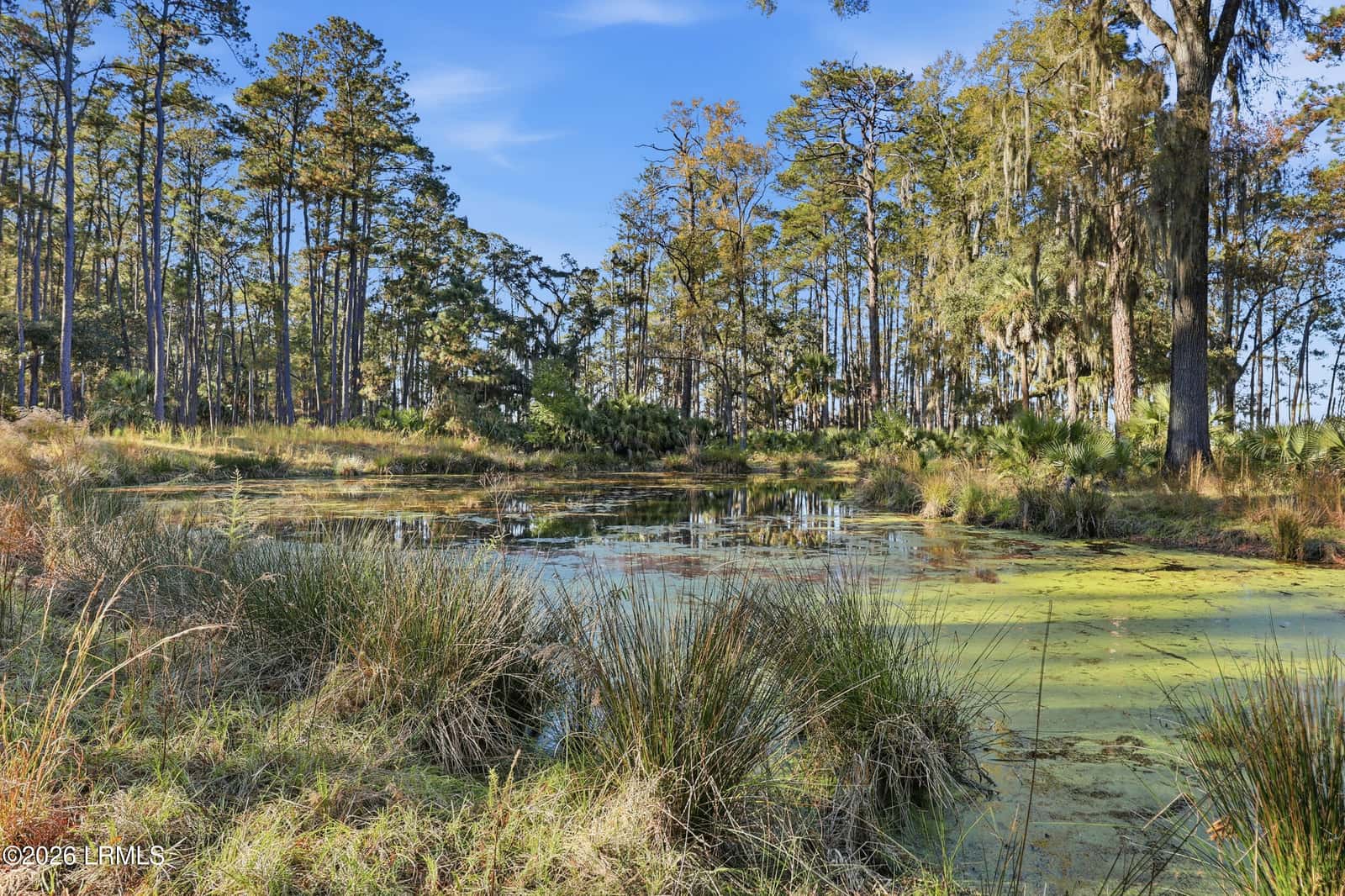0 Rose Island, Port Royal, SC 29909 — photo 51 of 53