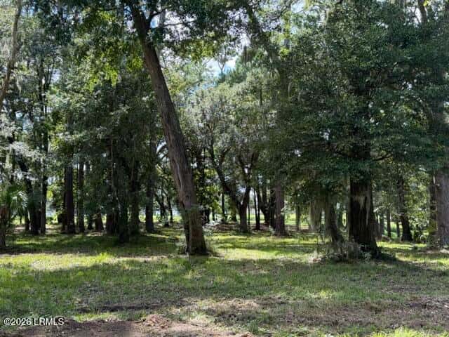 17 Barnwell Drive, Beaufort, SC 29907 — photo 5 of 15
