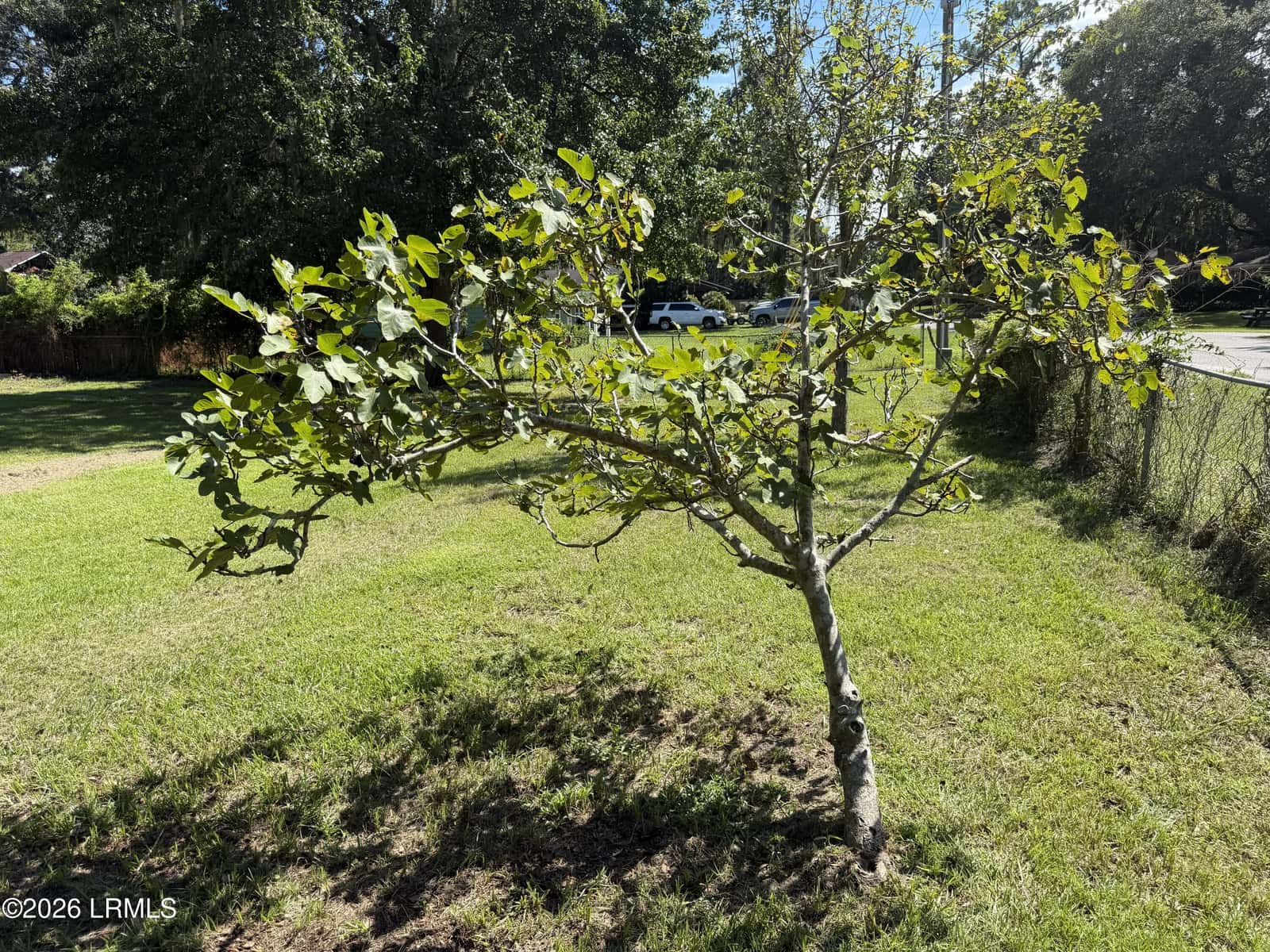 14009 Kader Street, Beaufort, SC 29906 — photo 7 of 43