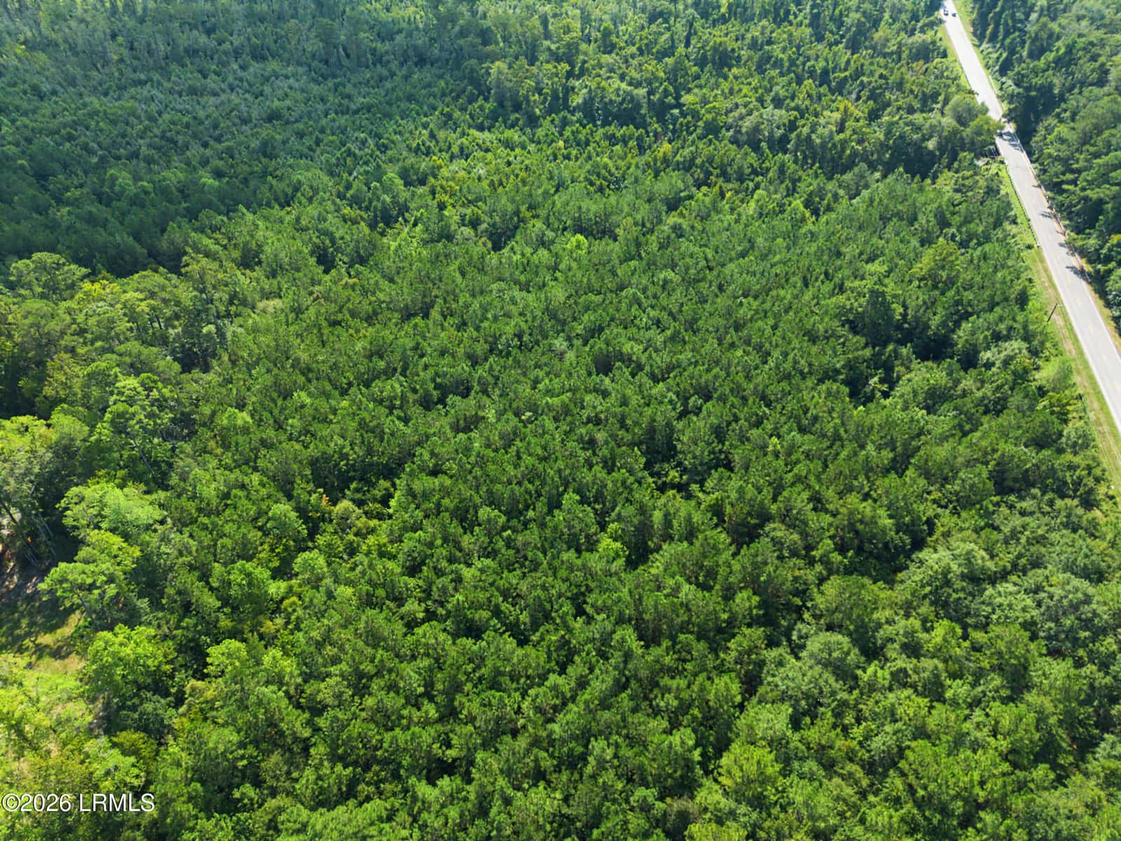 Tbd Lot 5 Industrial Road, Walterboro, SC 29488 — photo 3 of 4