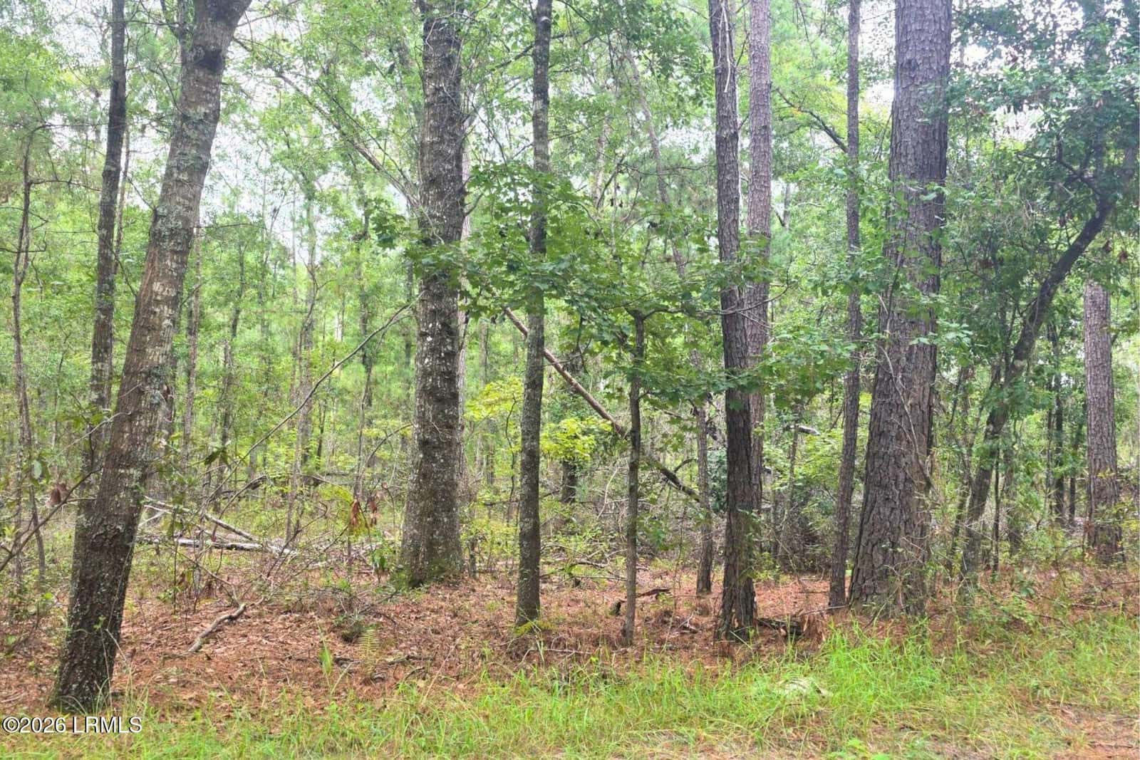 00 Wade Hampton Road, Hampton, SC 29924 — photo 7 of 16
