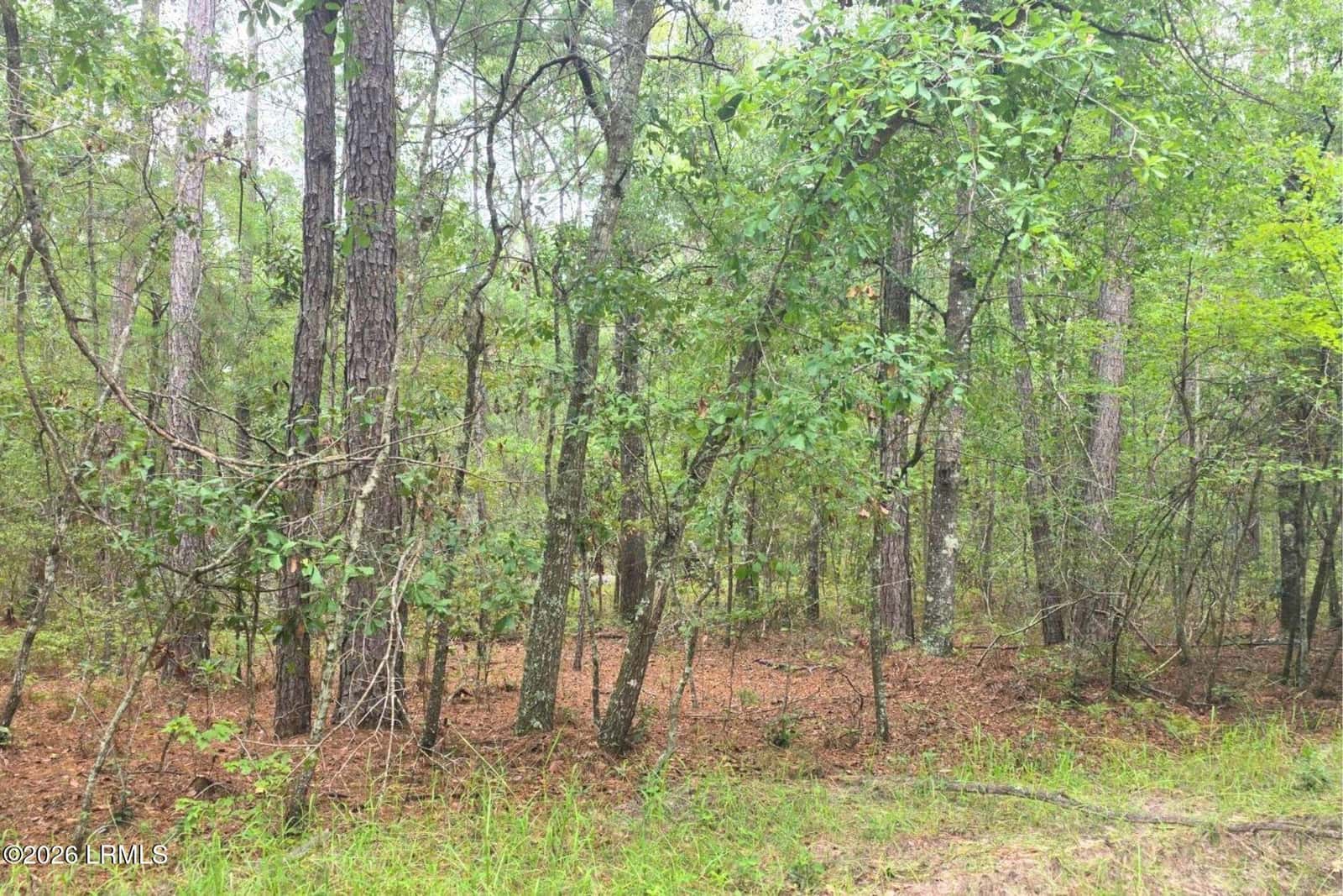00 Wade Hampton Road, Hampton, SC 29924 — photo 9 of 16