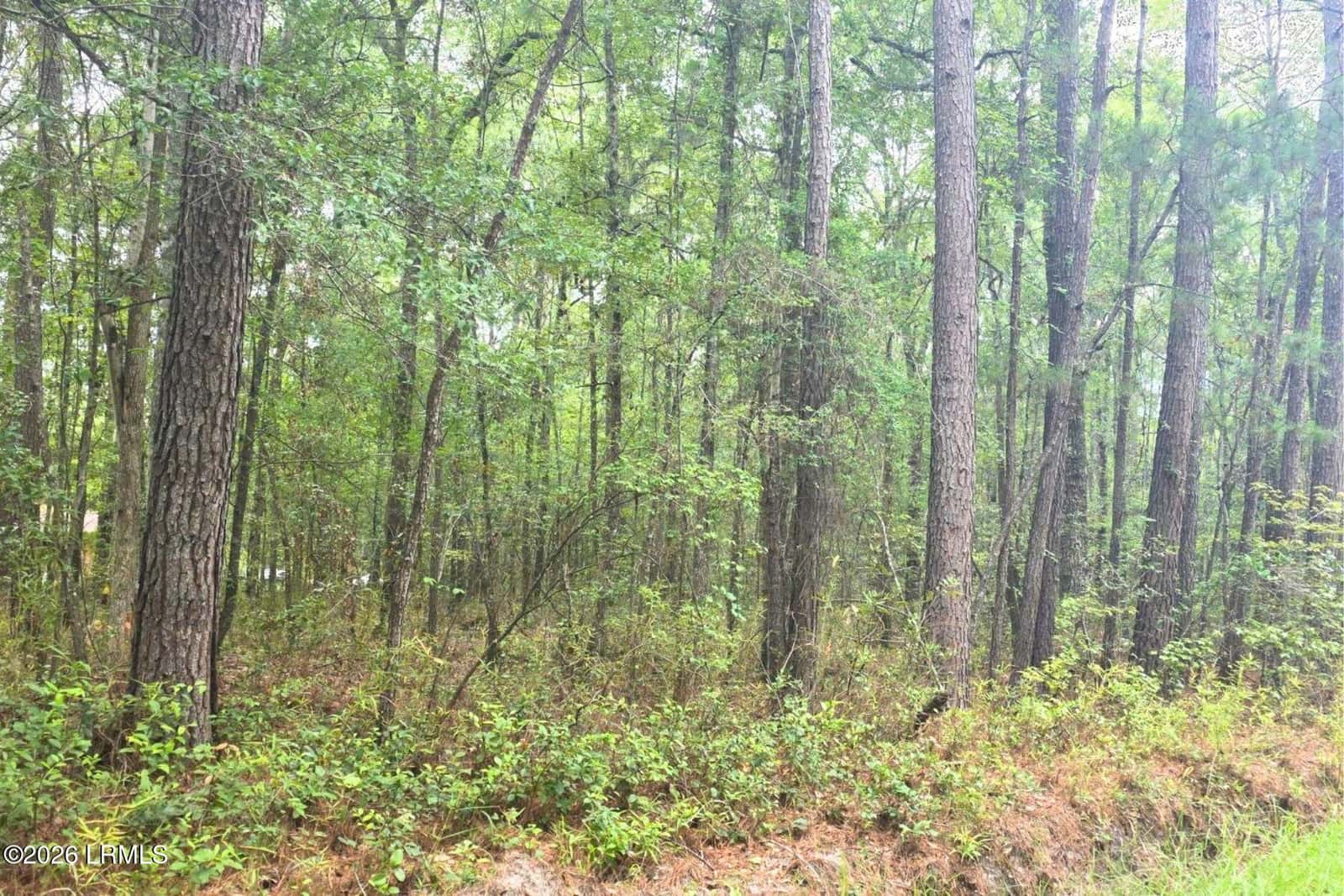 00 Wade Hampton Road, Hampton, SC 29924 — photo 11 of 16