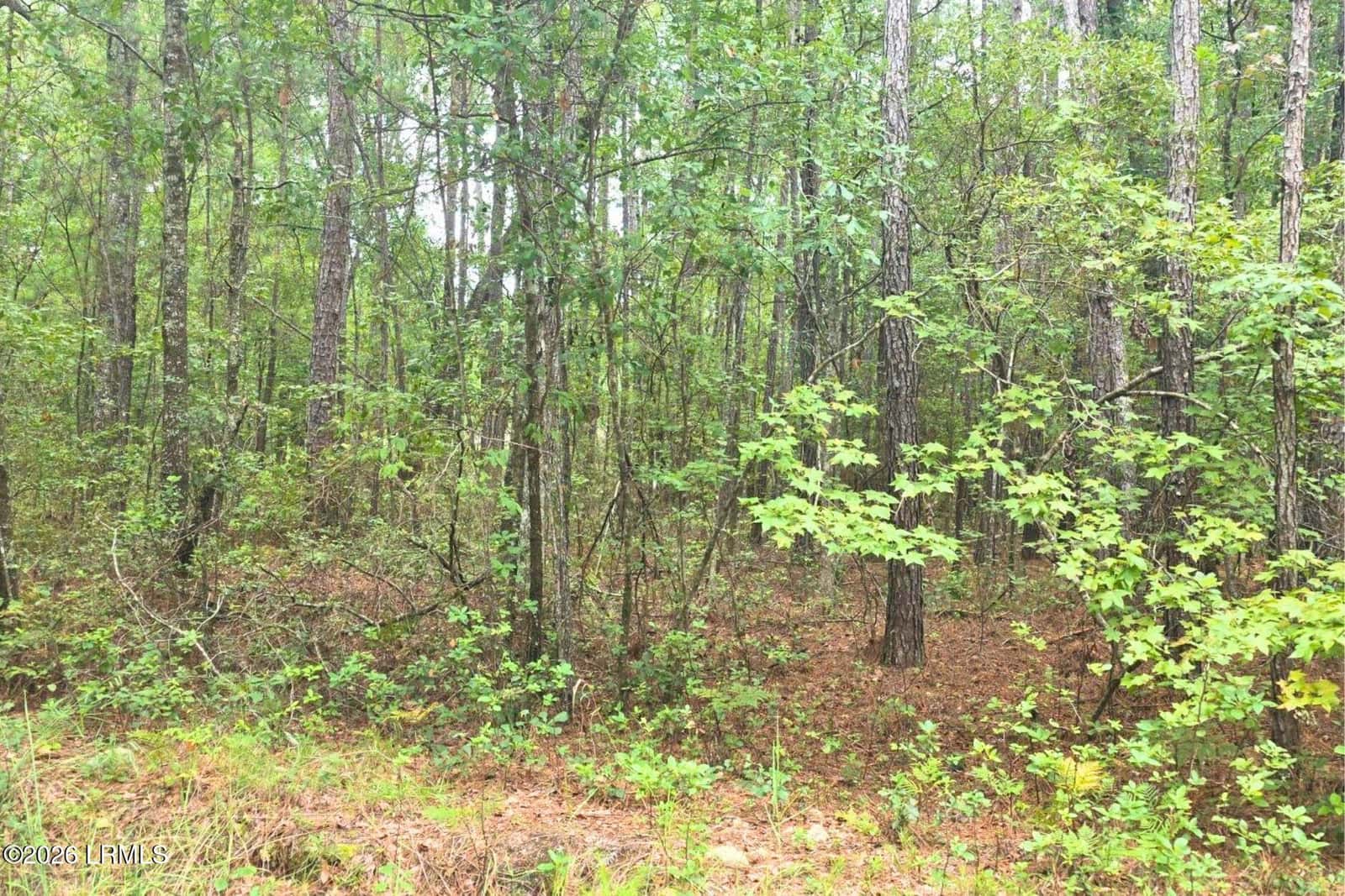 00 Wade Hampton Road, Hampton, SC 29924 — photo 12 of 16