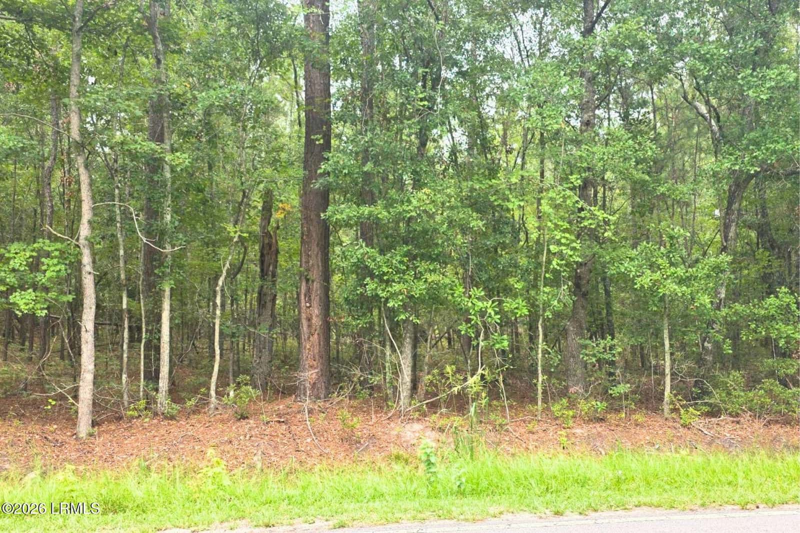 00 Wade Hampton Road, Hampton, SC 29924 — photo 13 of 16