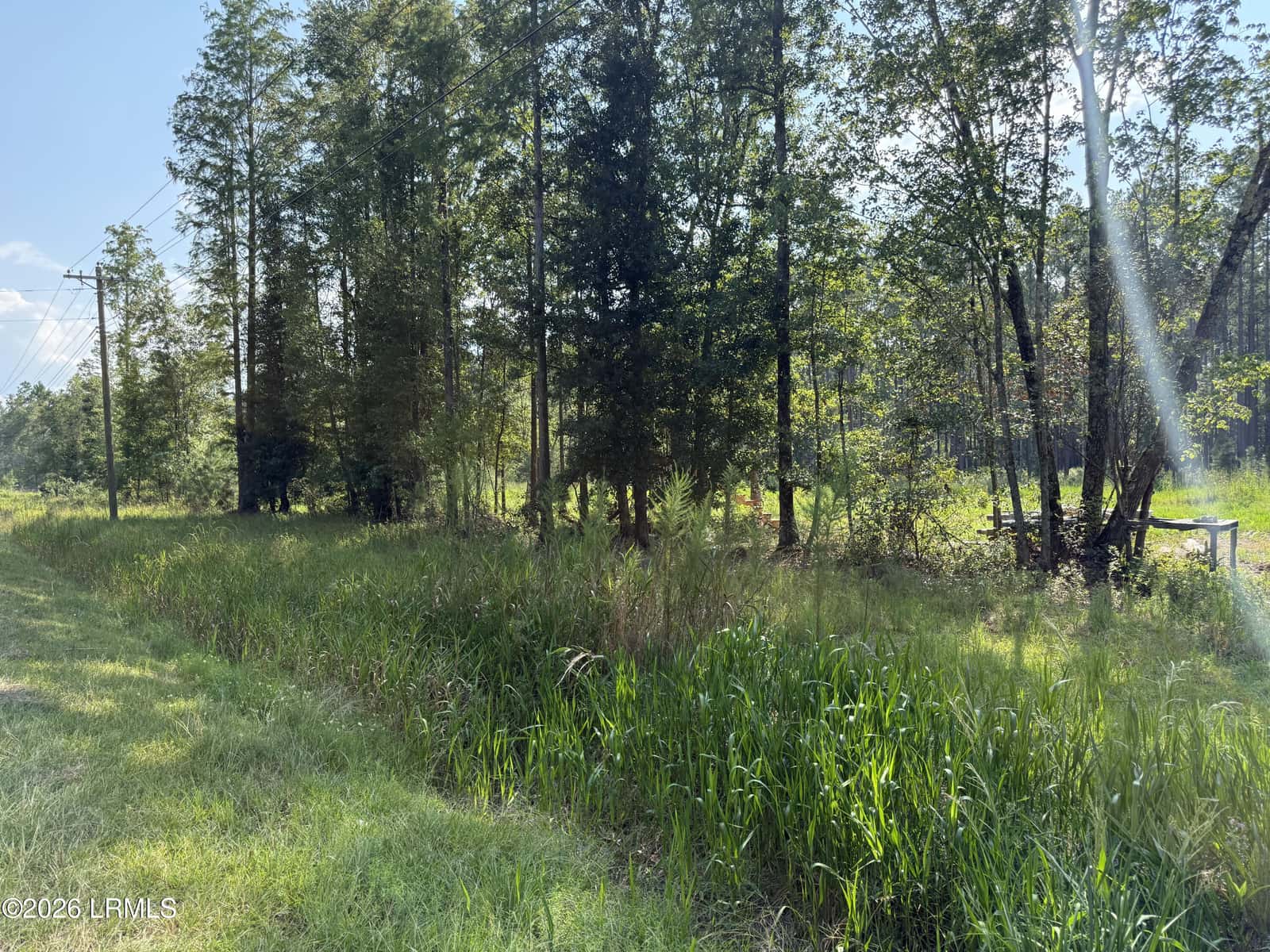 Tbd Cohen Road, Pineland, SC 29934 — photo 4 of 10