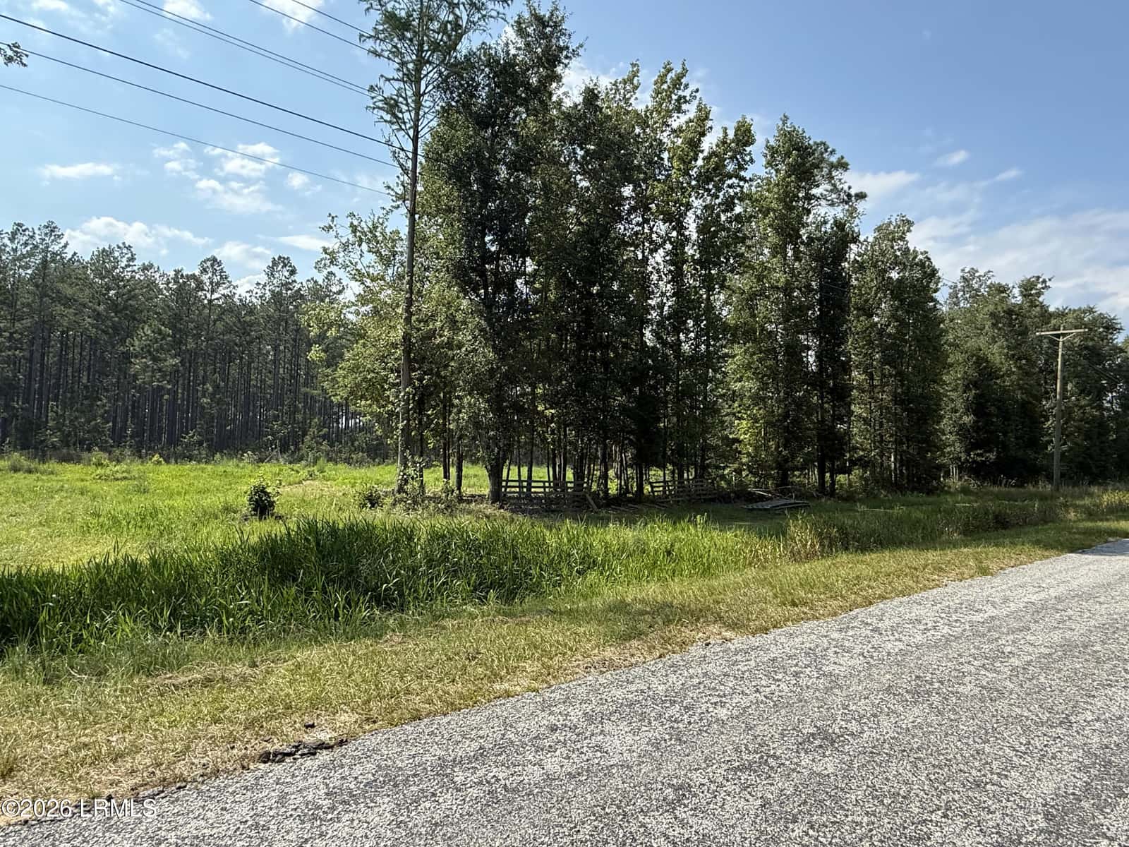 Tbd Cohen Road, Pineland, SC 29934 — photo 10 of 10
