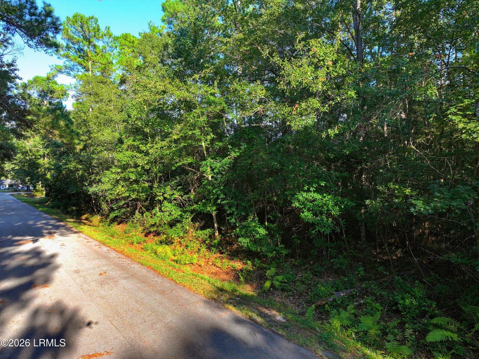 4 Pickens Street, Beaufort, SC 29907 — photo 20 of 22