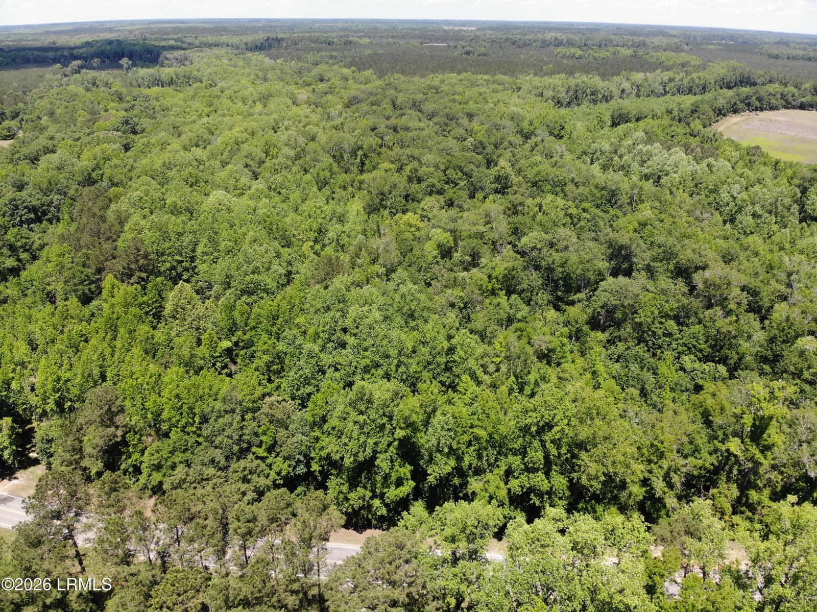 Tbd B Confederate Highway, Fairfax, SC 29827 — photo 1 of 11
