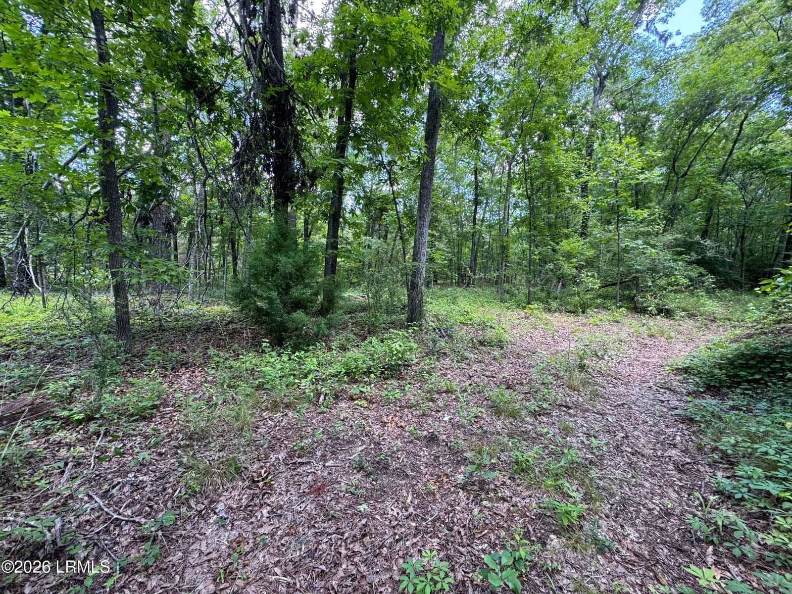 Tbd B Confederate Highway, Fairfax, SC 29827 — photo 3 of 11
