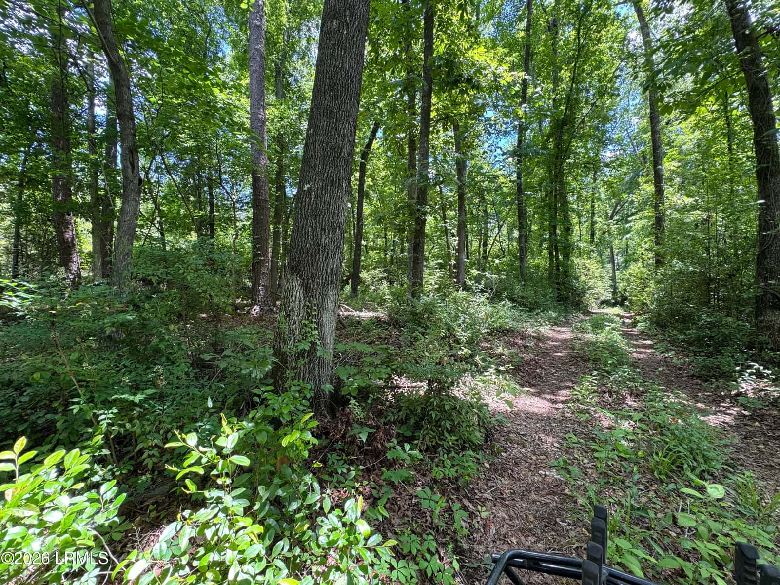 Tbd B Confederate Highway, Fairfax, SC 29827 — photo 4 of 11