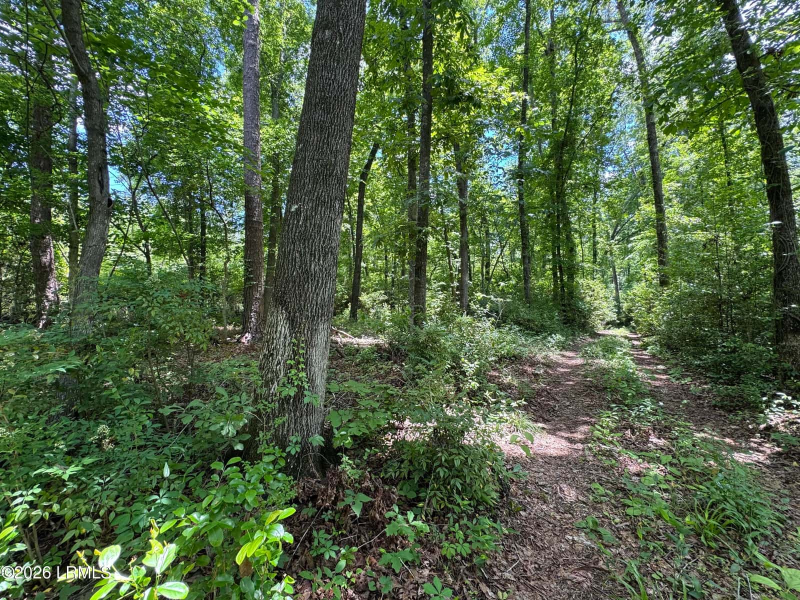 Tbd B Confederate Highway, Fairfax, SC 29827 — photo 5 of 11