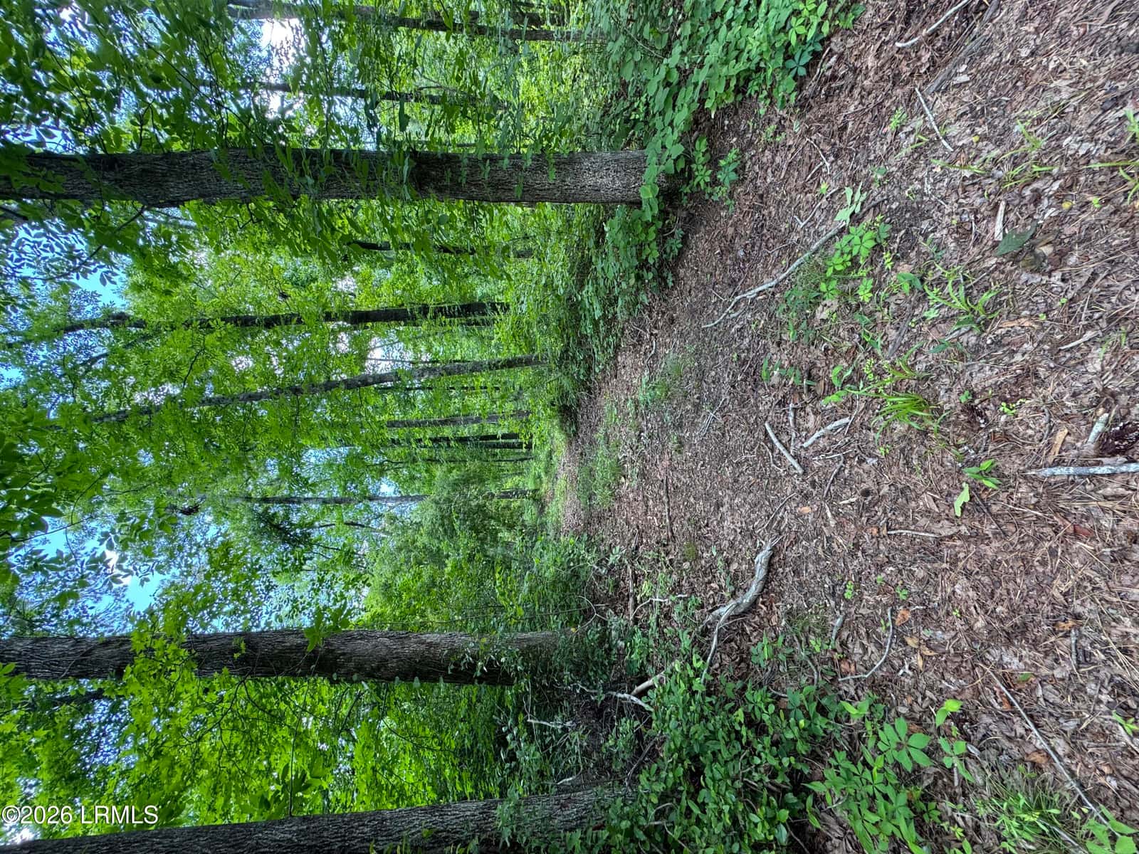 Tbd B Confederate Highway, Fairfax, SC 29827 — photo 7 of 11