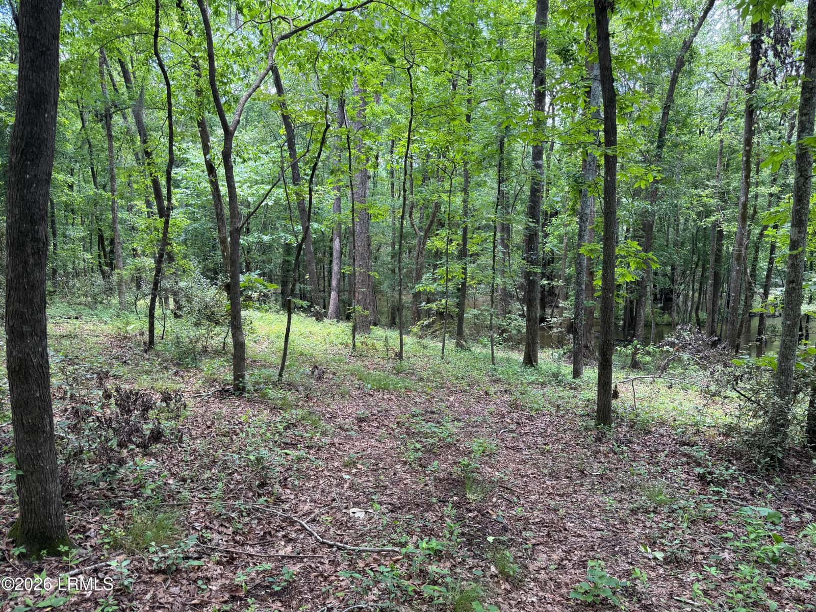 Tbd B Confederate Highway, Fairfax, SC 29827 — photo 10 of 11