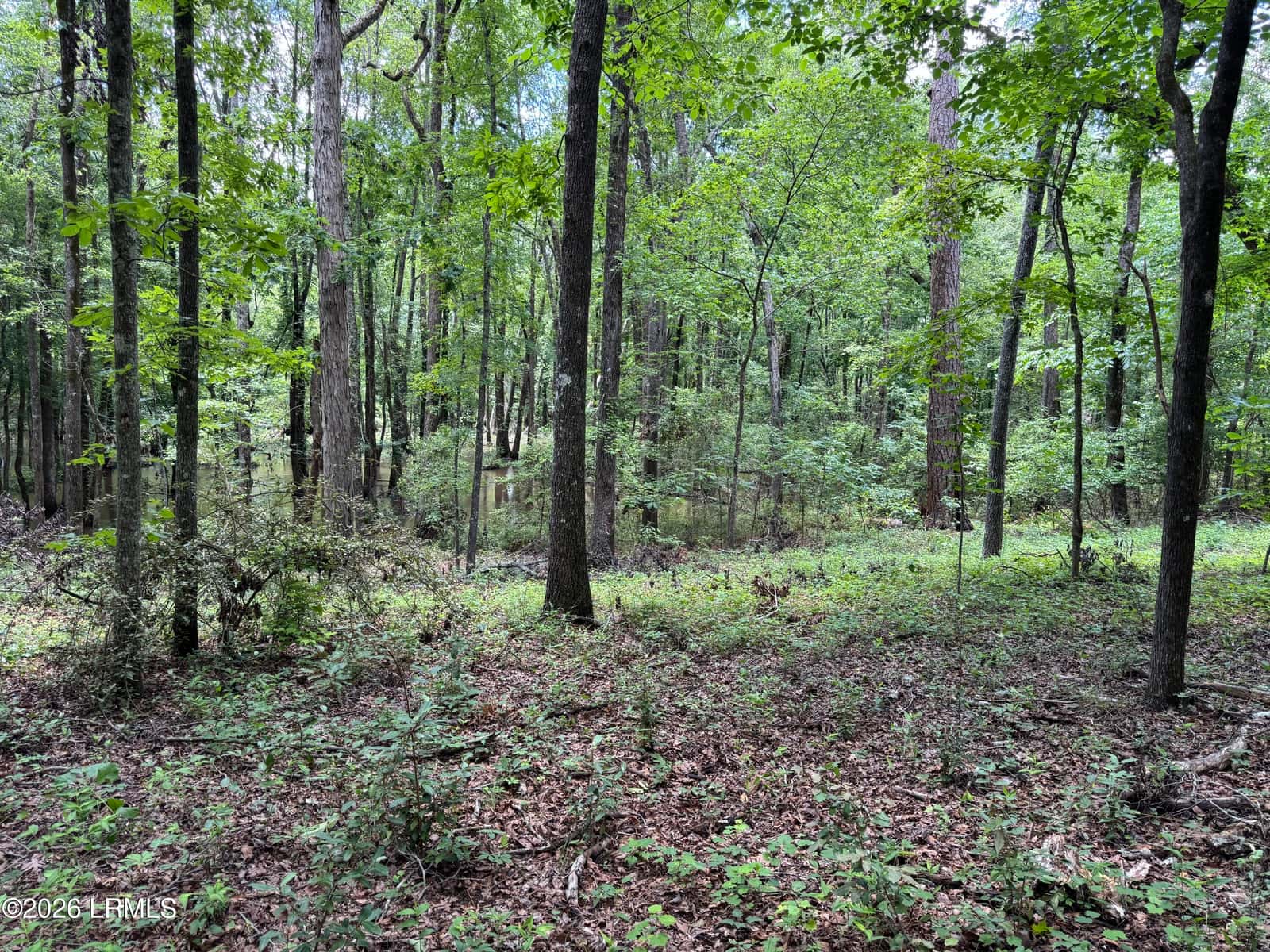 Tbd B Confederate Highway, Fairfax, SC 29827 — photo 11 of 11