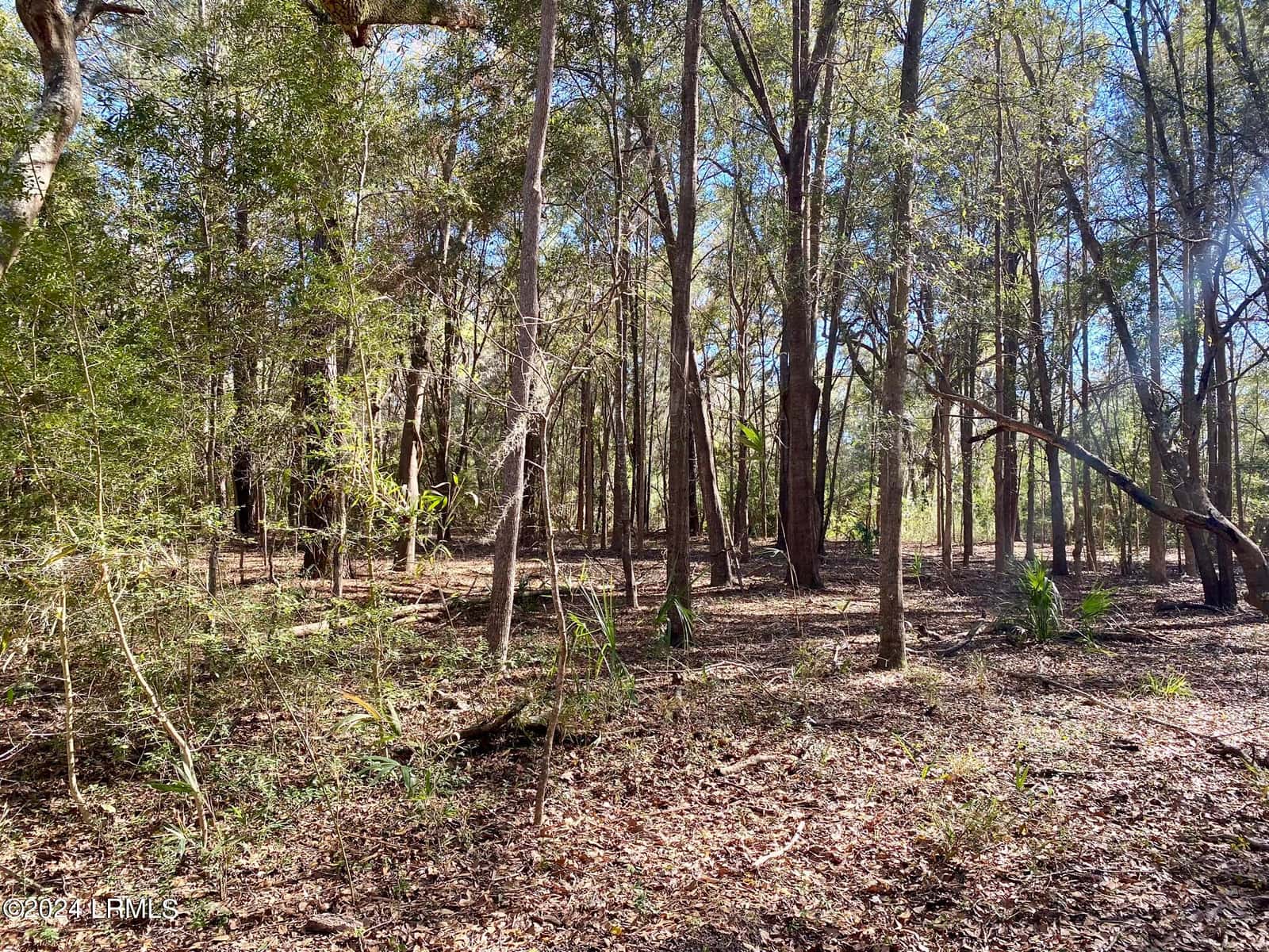 31 Honeysuckle Lane, Beaufort, SC 29907 — photo 4 of 13