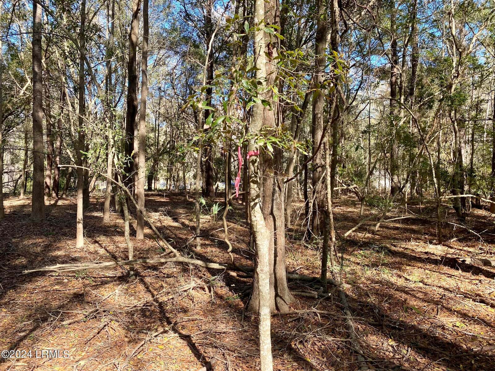 31 Honeysuckle Lane, Beaufort, SC 29907 — photo 5 of 13