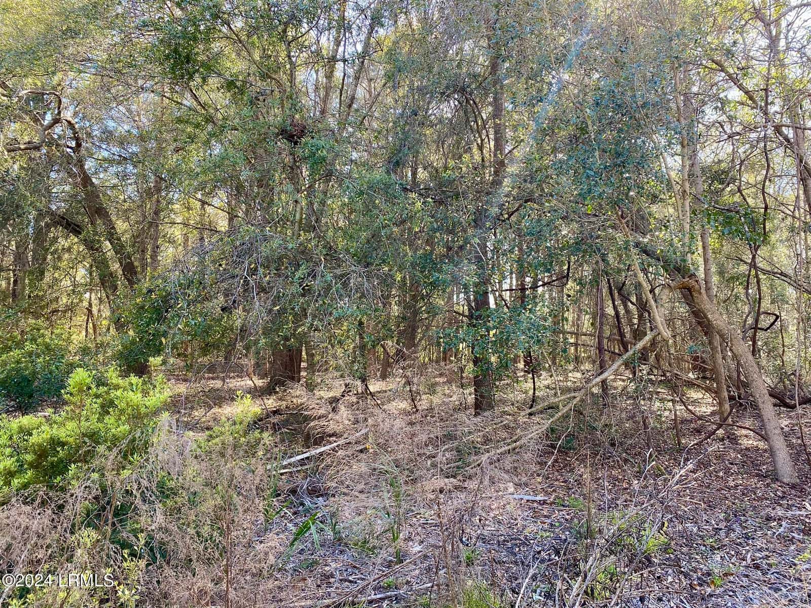 31 Honeysuckle Lane, Beaufort, SC 29907 — photo 6 of 13