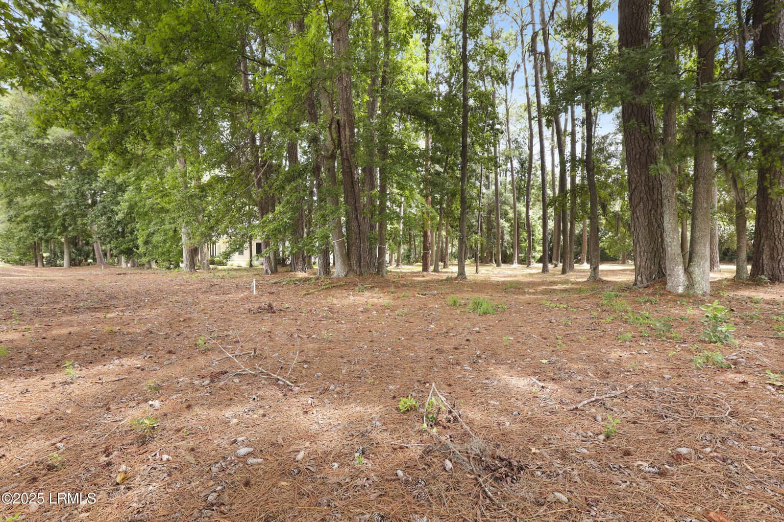 47 Manchester Court, Bluffton, SC 29910 — photo 6 of 30