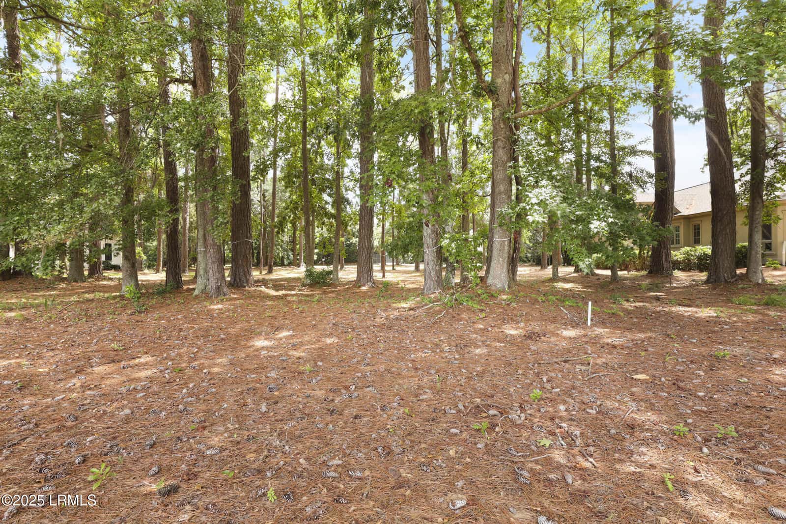 47 Manchester Court, Bluffton, SC 29910 — photo 7 of 30