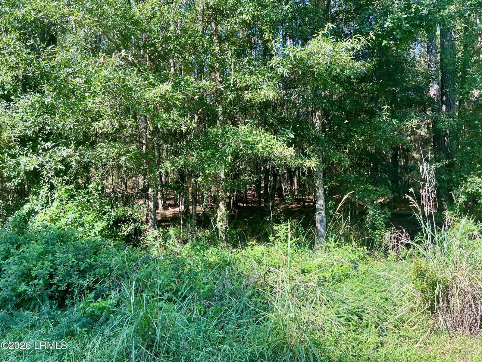 511 Chicora Lane, Yemassee, SC 29945 — photo 15 of 17