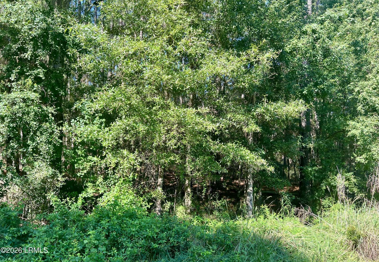 511 Chicora Lane, Yemassee, SC 29945 — photo 16 of 17