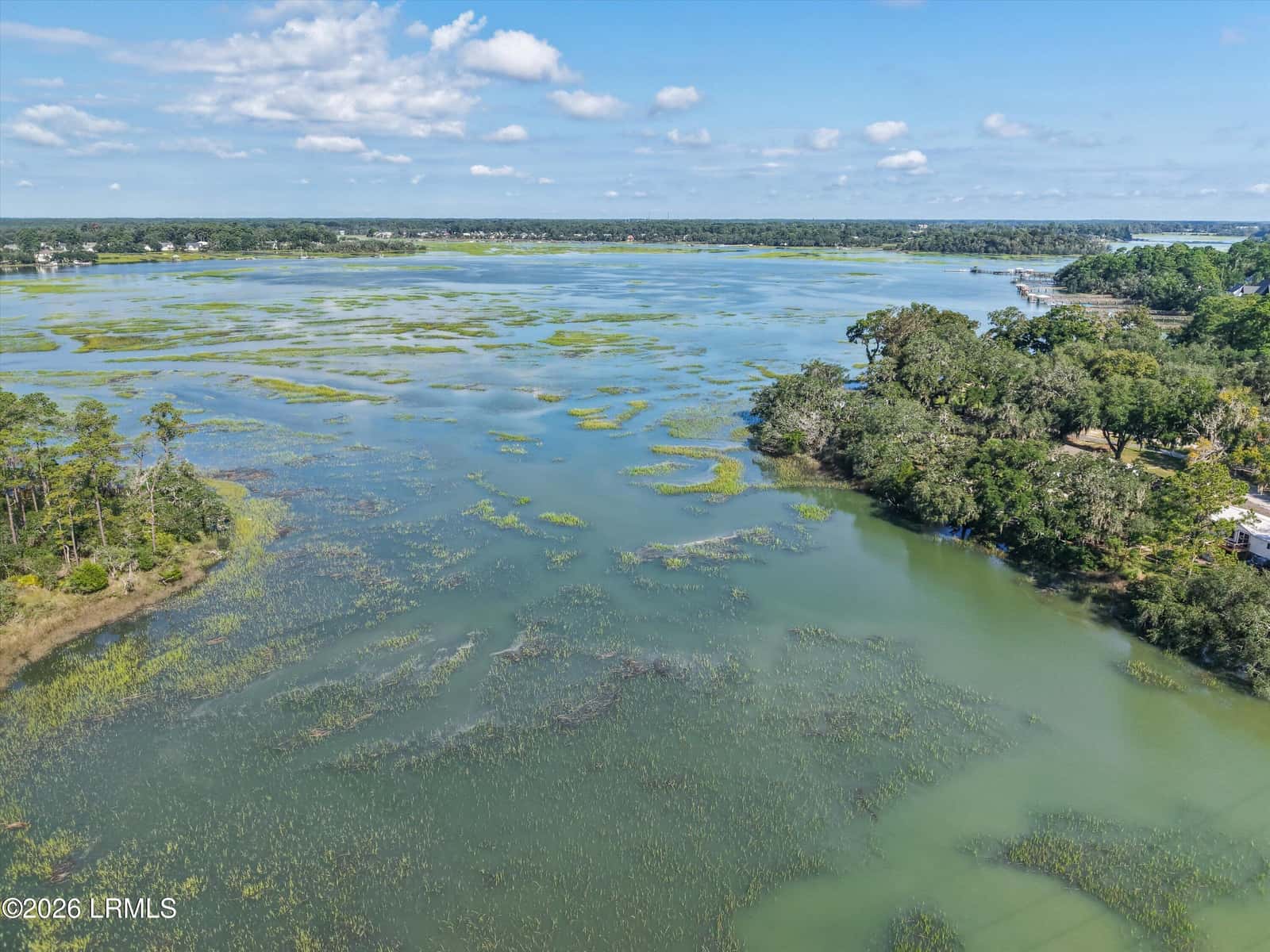 2834 W Royal Oaks Drive, Beaufort, SC 29902 — photo 53 of 53